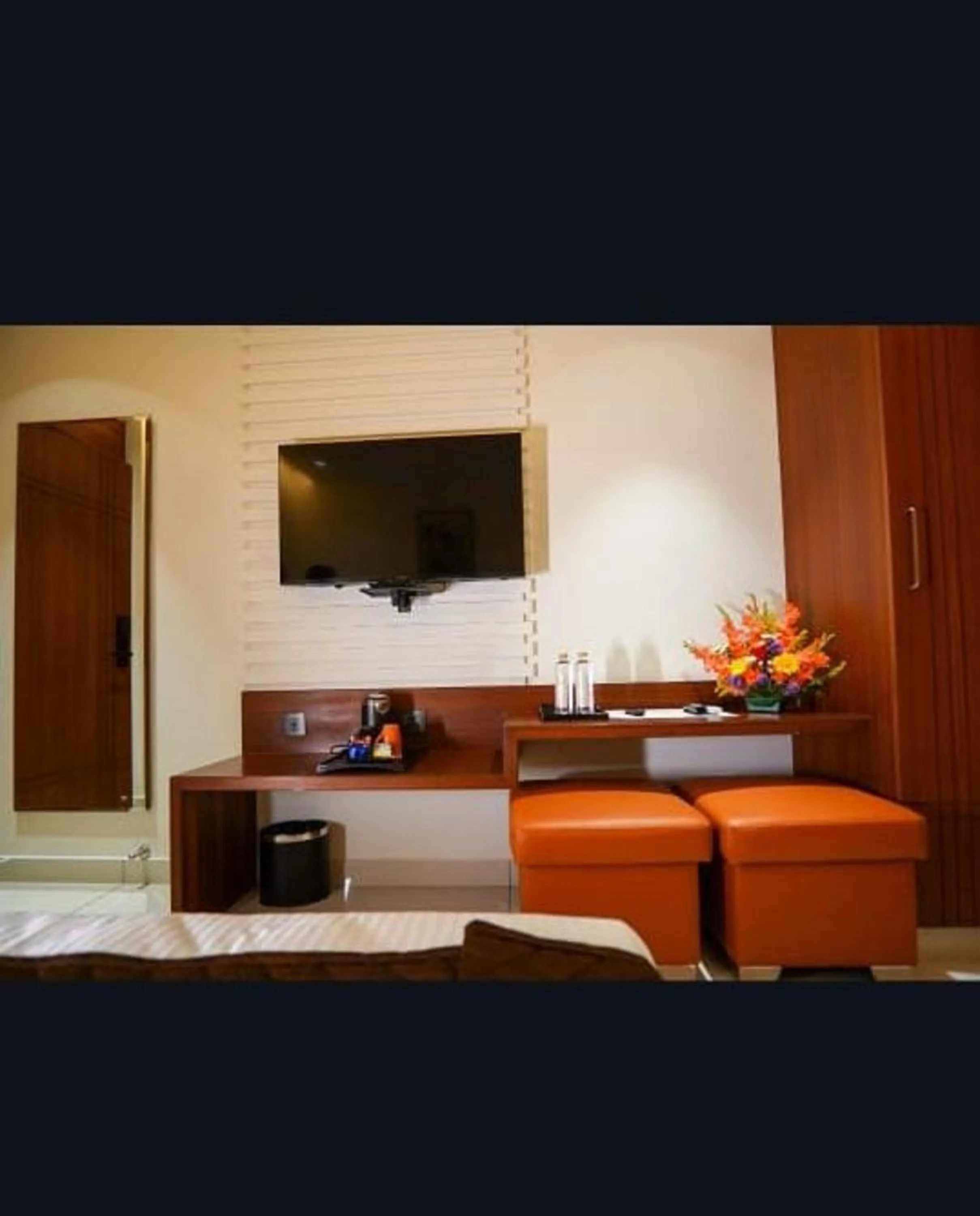 TV and multimedia in Hotel Harigovindas Express Mysore