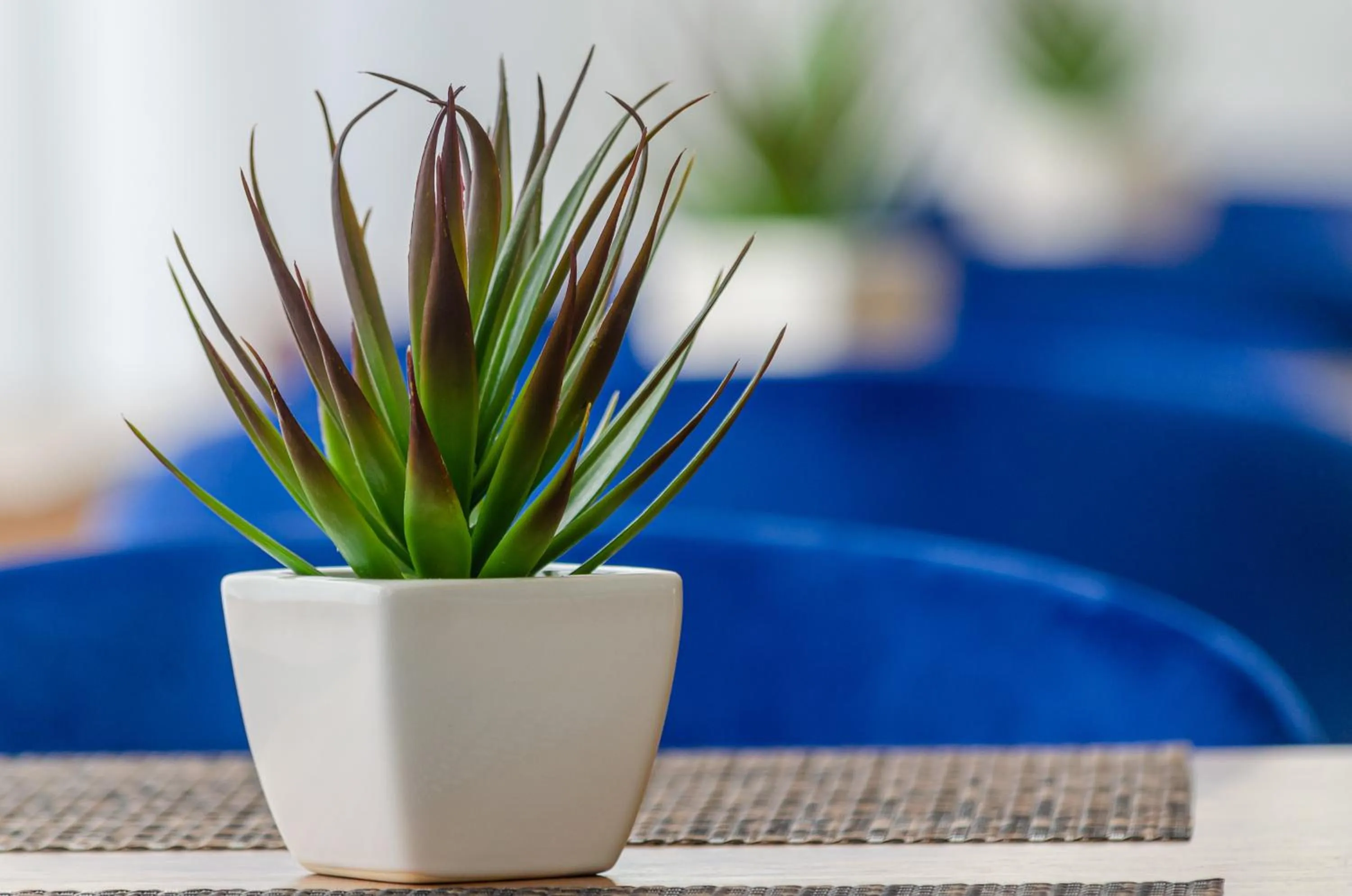 Decorative detail in 2M BOUTIQUE HOTEL