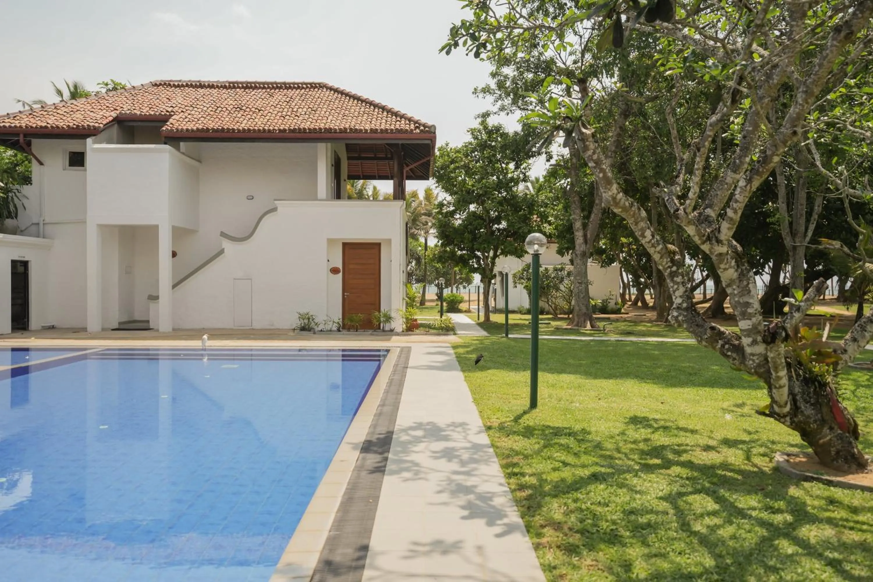 Swimming pool in Hibiscus Beach Hotel & Villas