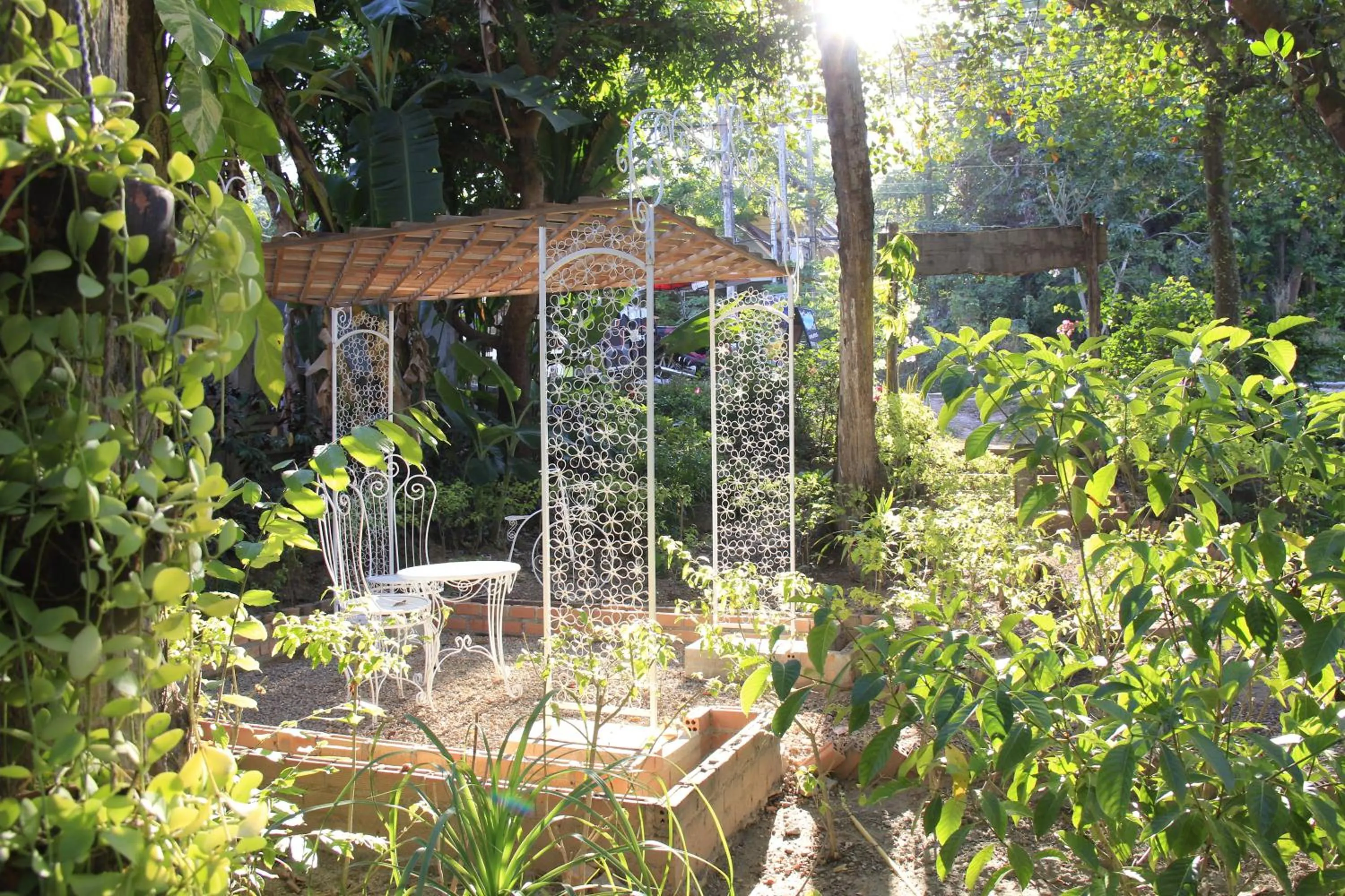 Garden in Fruit Tree Lodge