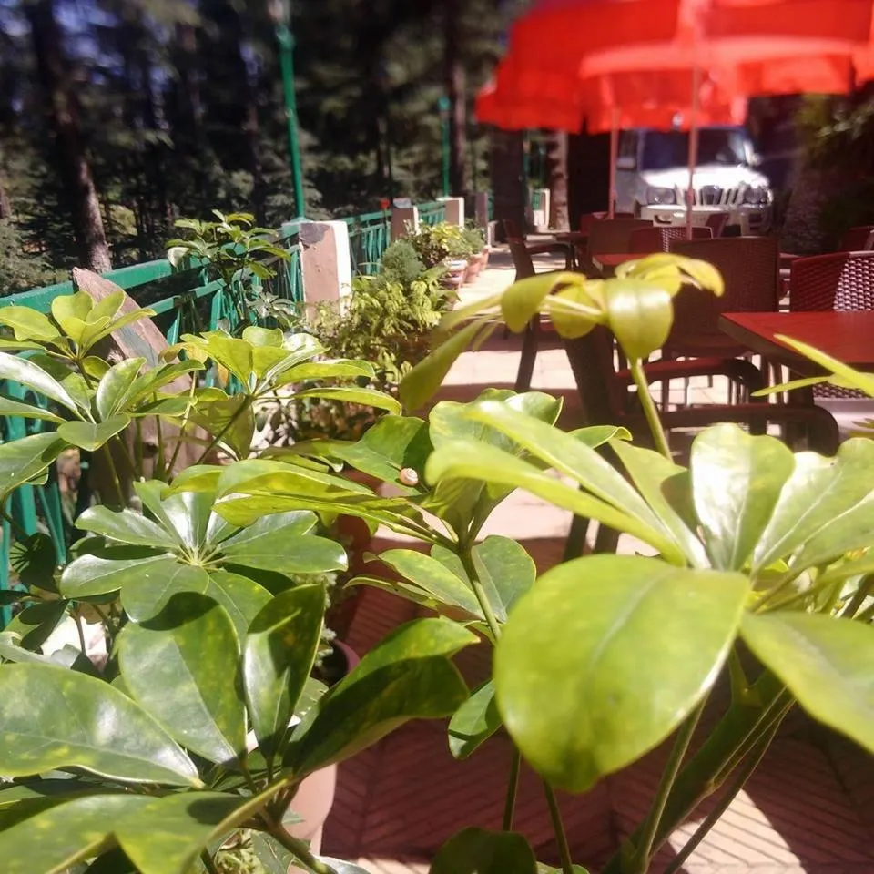 Restaurant/places to eat in The Woodstock Resort