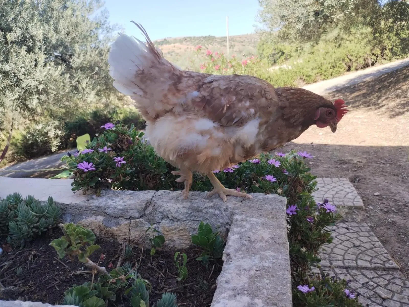 Ronnavona Casa Vacanze B&B