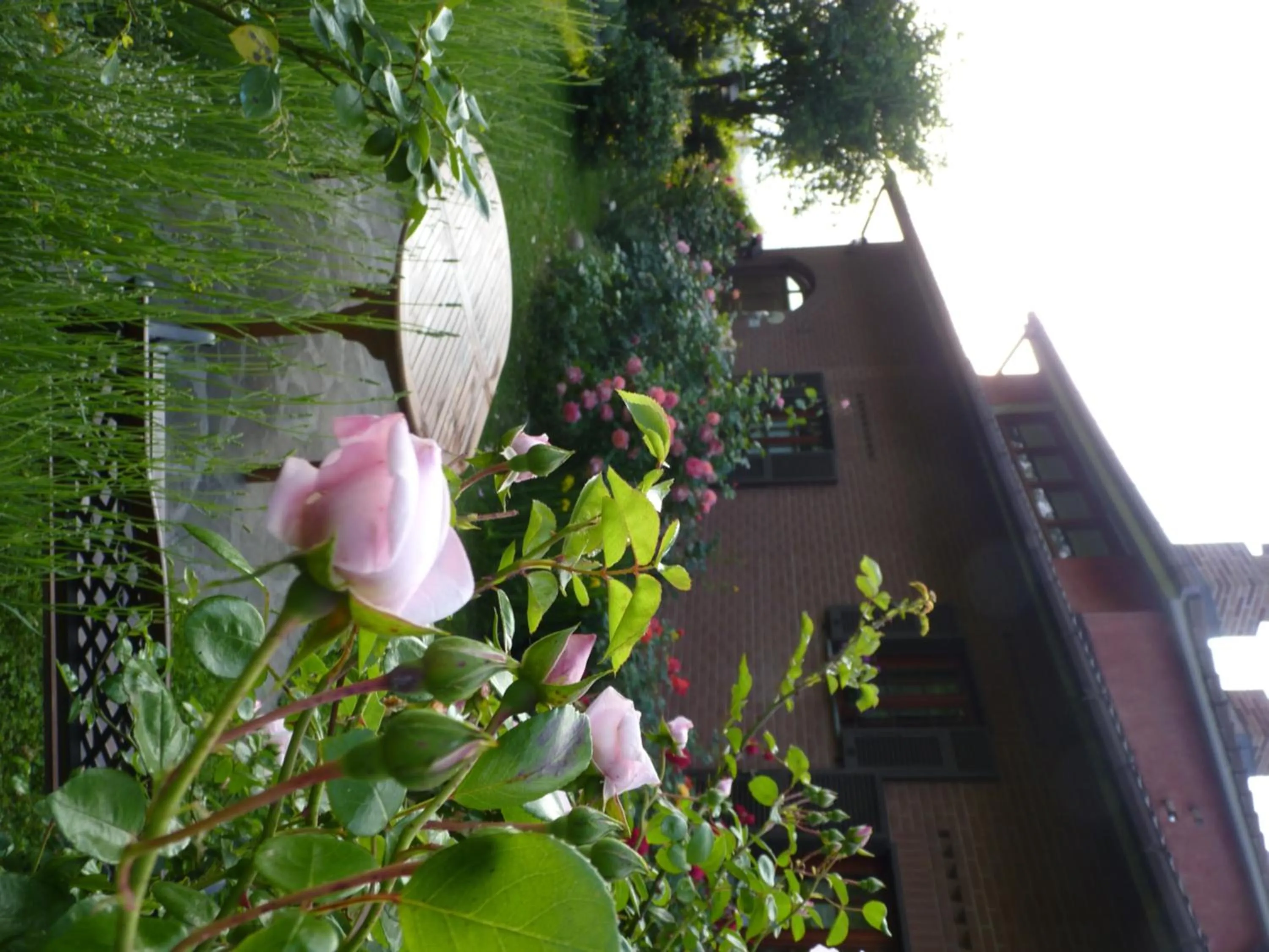 Property building in B&B The Roses Garden