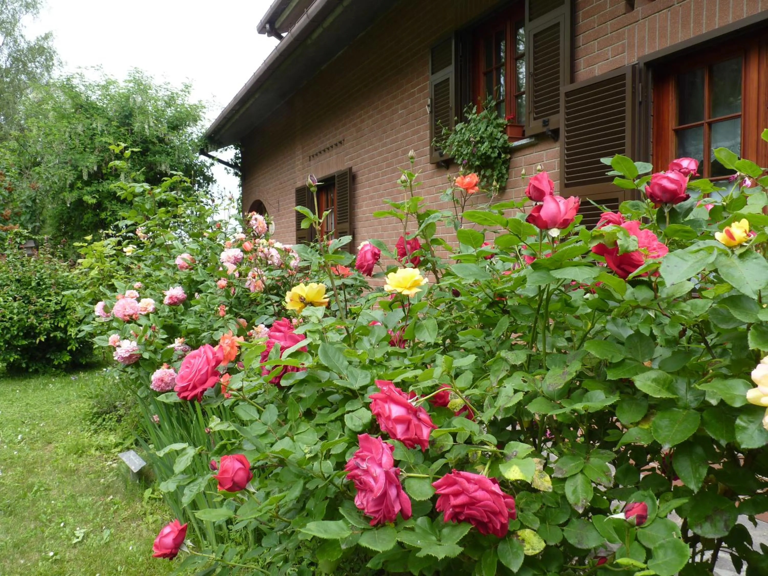Facade/entrance in B&B The Roses Garden