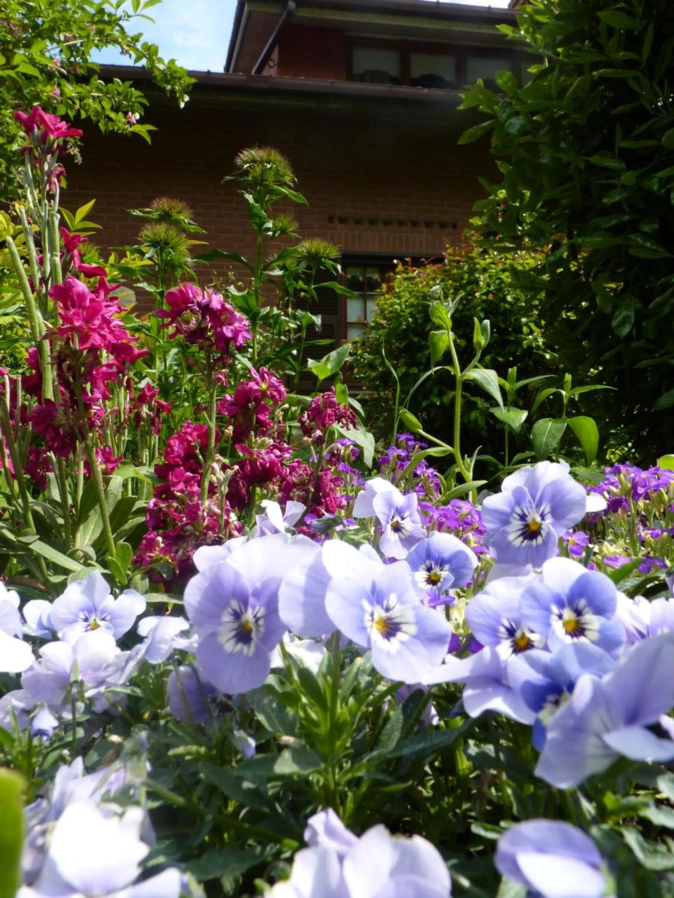 Area and facilities in B&B The Roses Garden