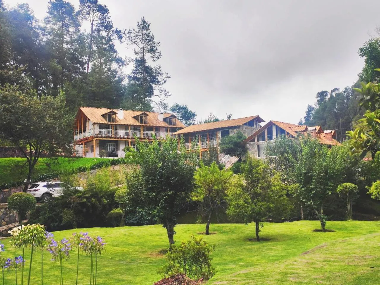 Garden in Finca la concordia: hotel frutos del bosque