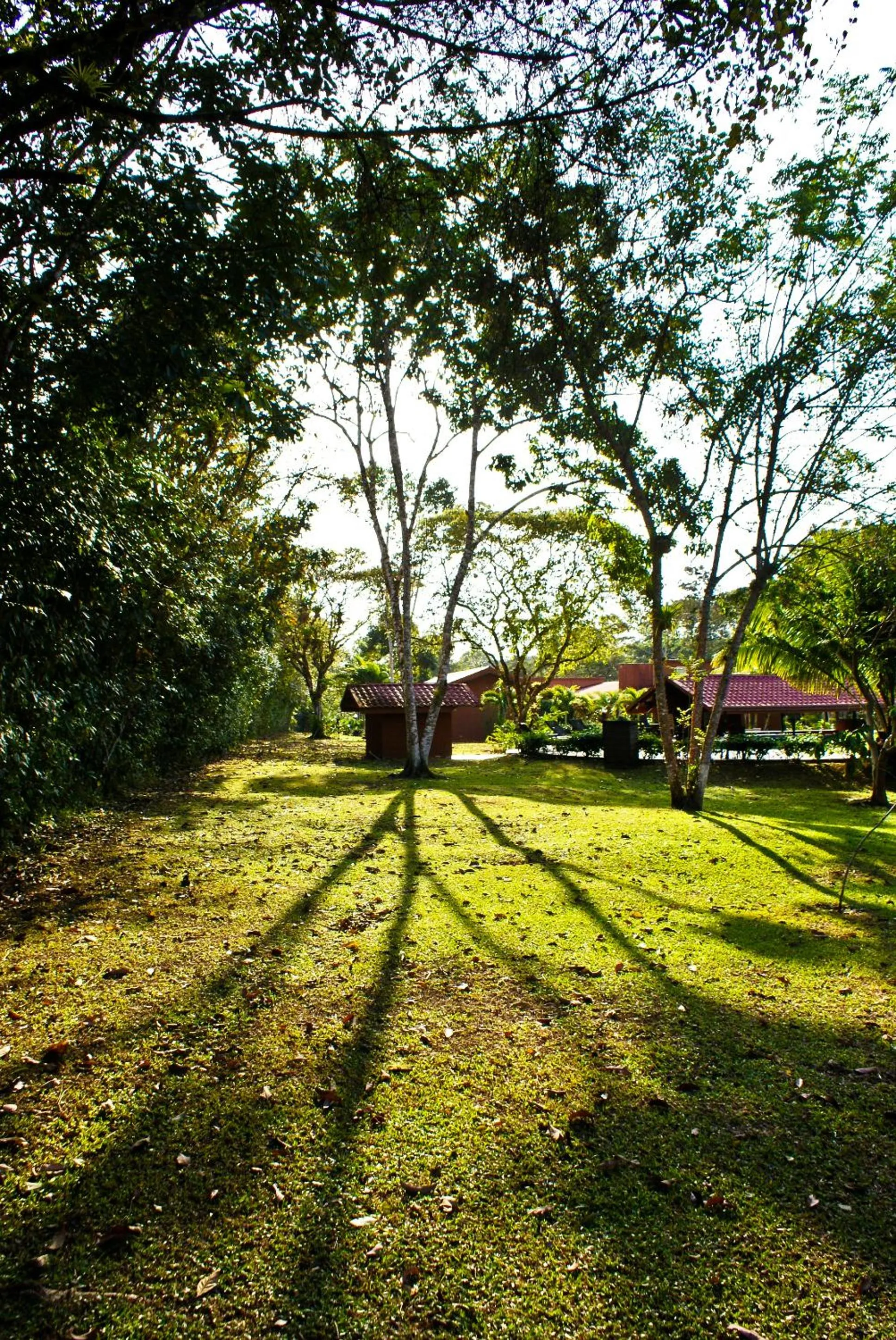 Property building in Natural Lodge Caño Negro