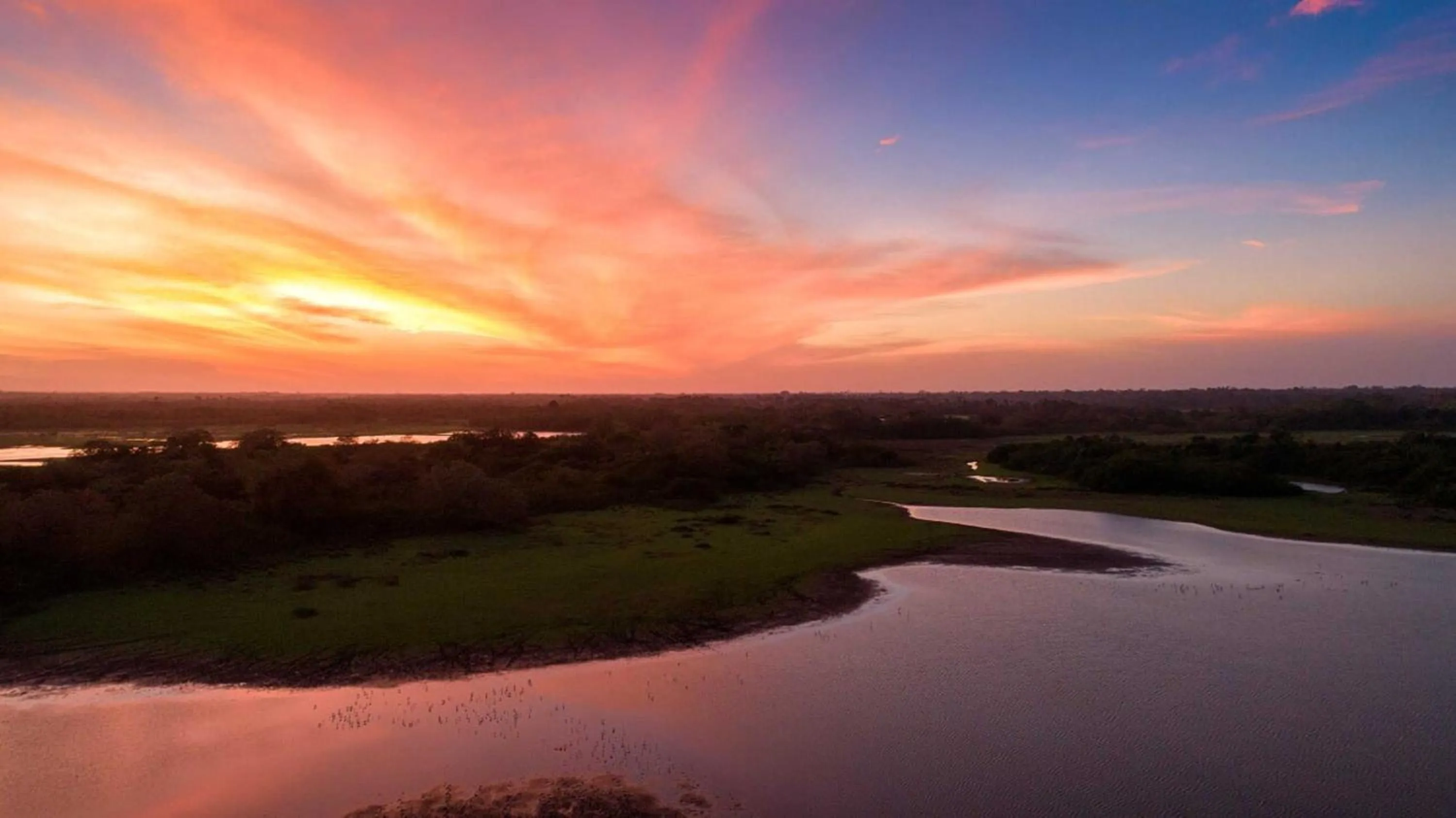 View (from property/room) in Natural Lodge Caño Negro