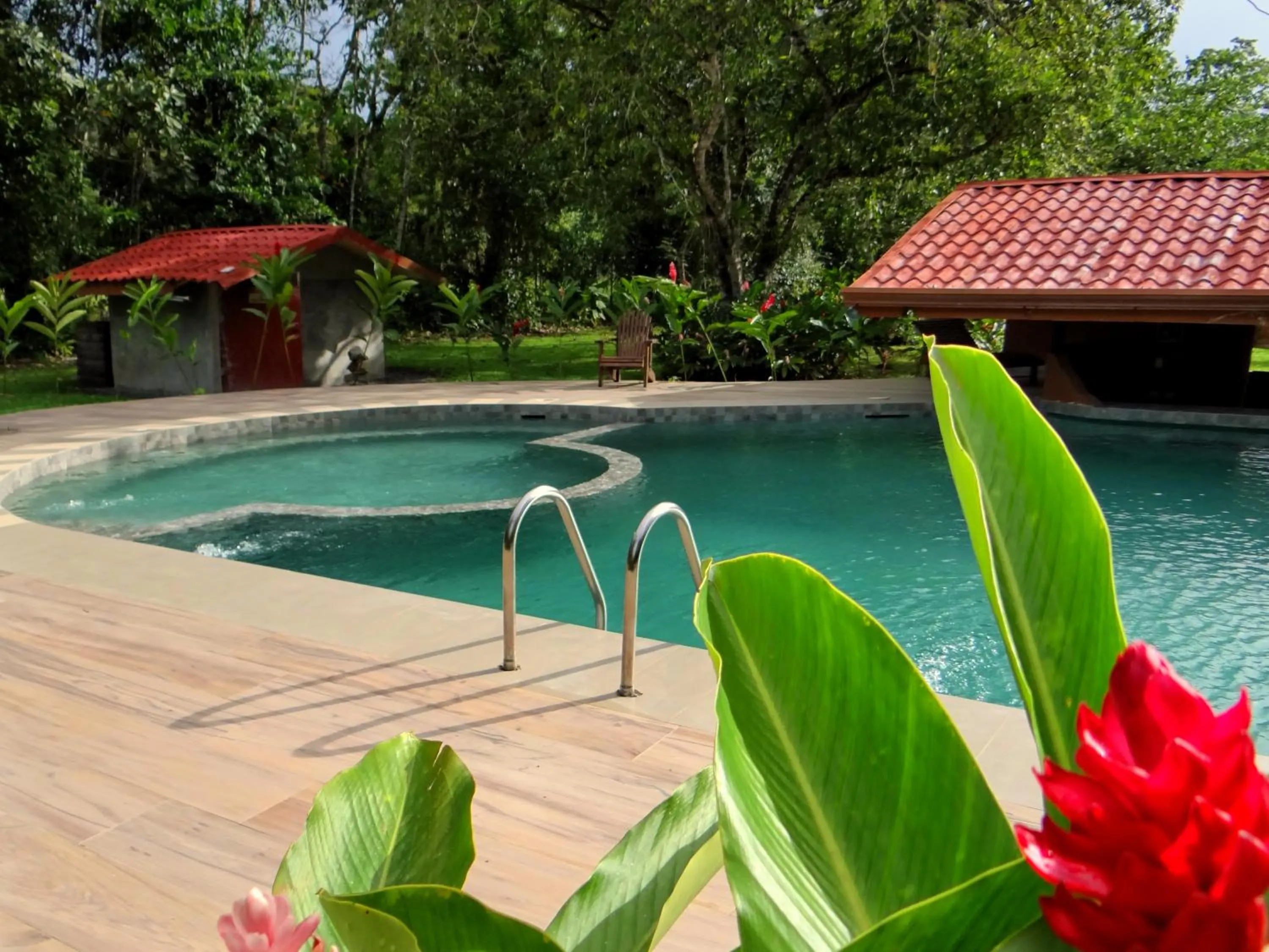 Swimming pool in Natural Lodge Caño Negro