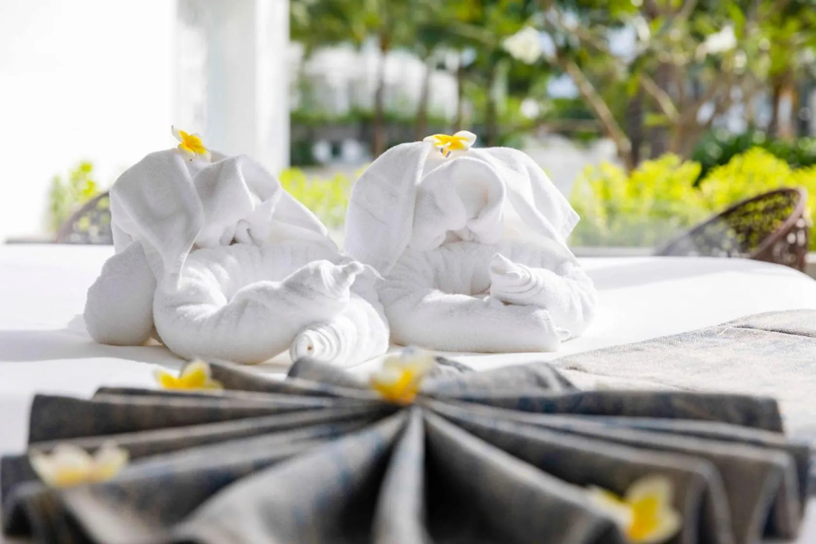 Day in Nhý Villa Đà Lạt Review