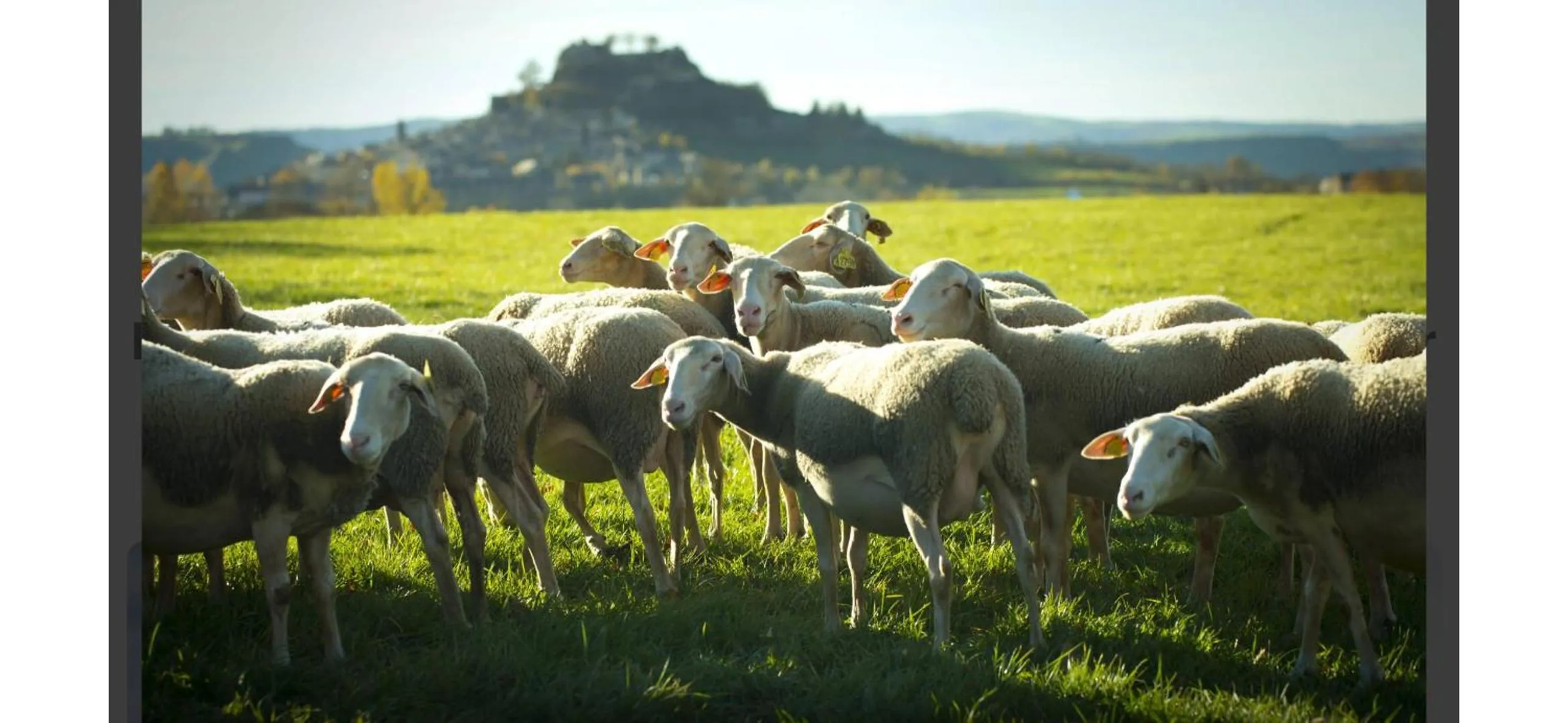Hôtel de la Gare Sévérac
