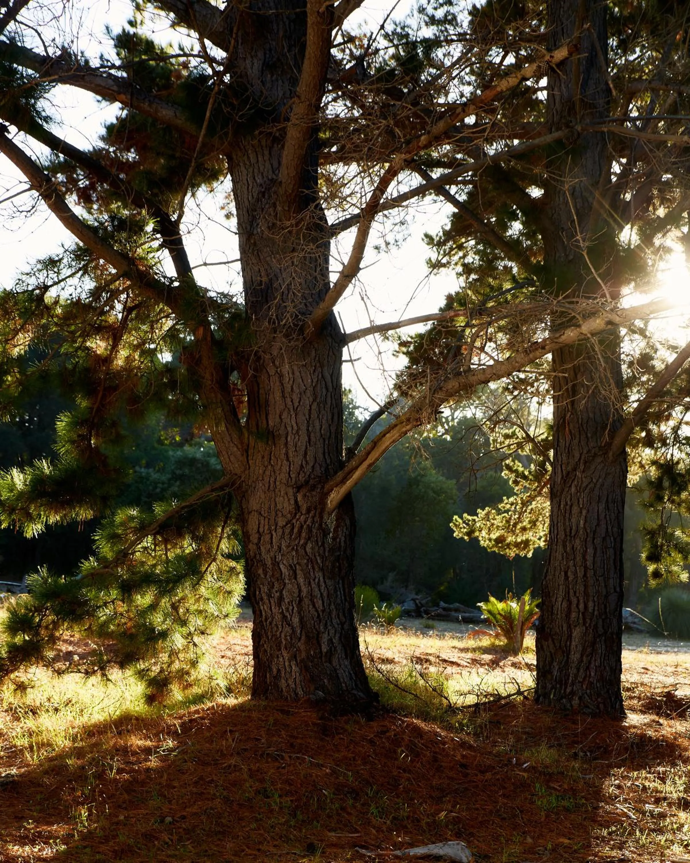 Yallingup Lodge Spa Retreat