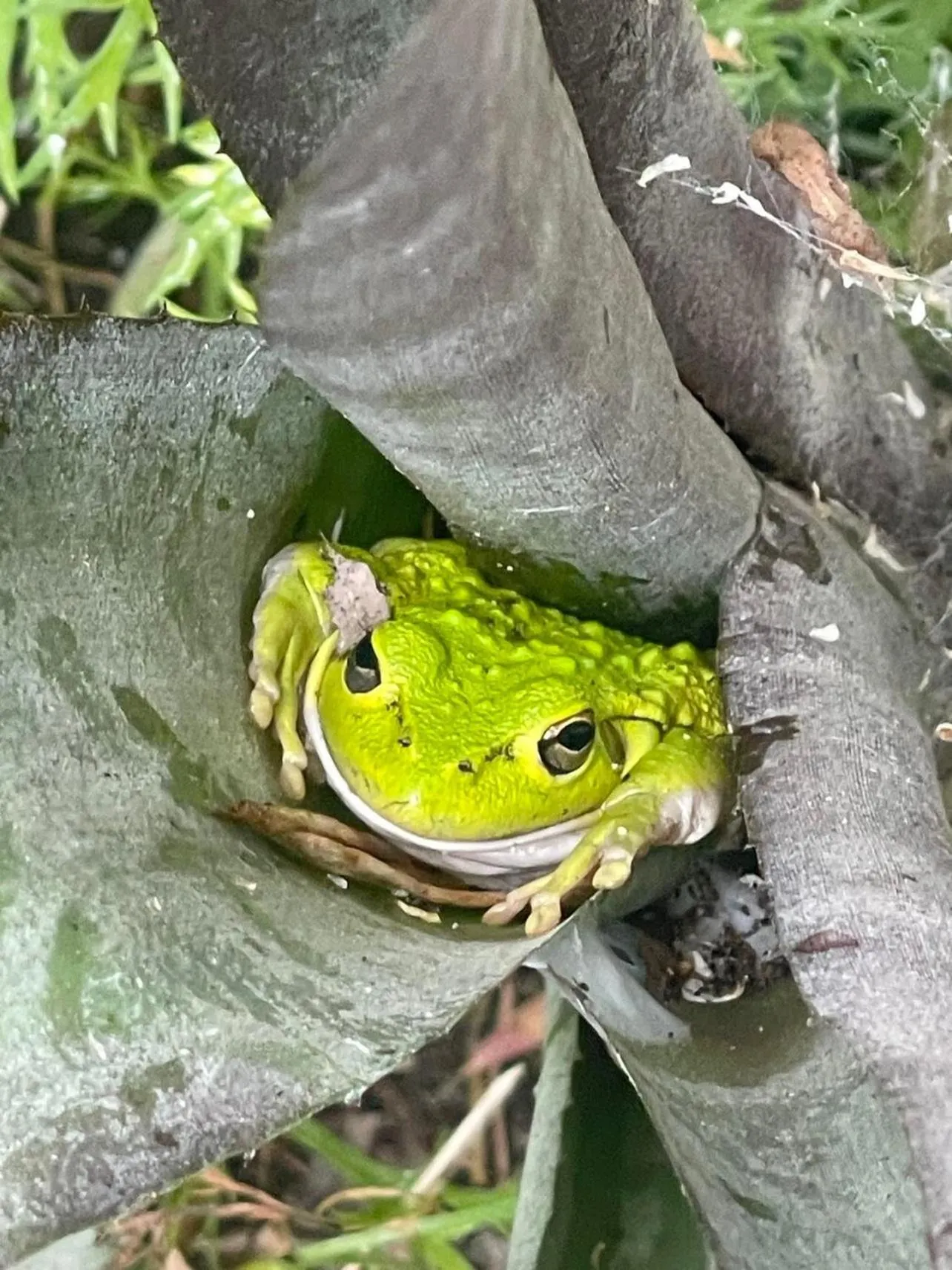 Sandy Bay Holiday Park