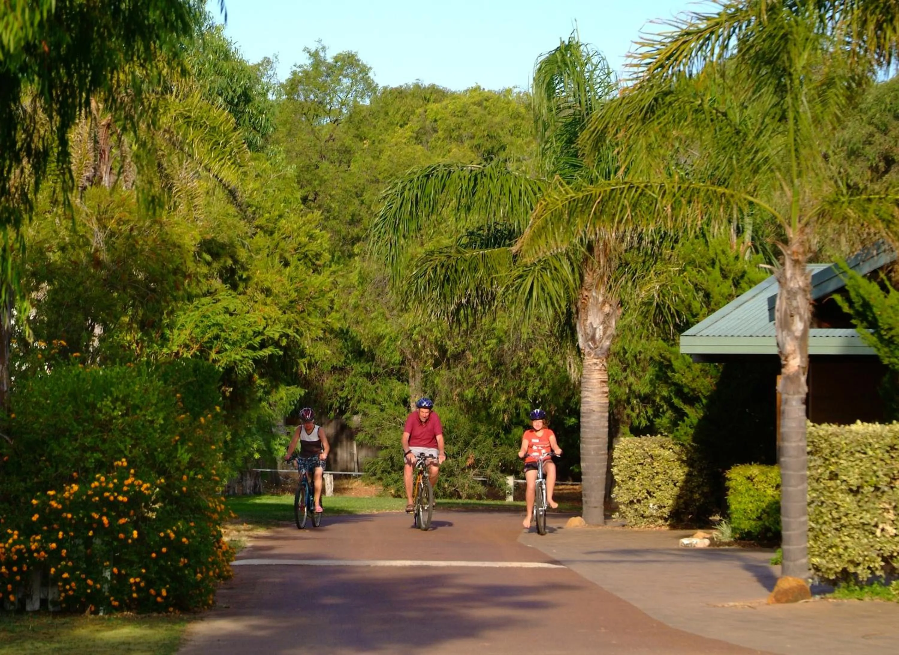 Day in Sandy Bay Holiday Park