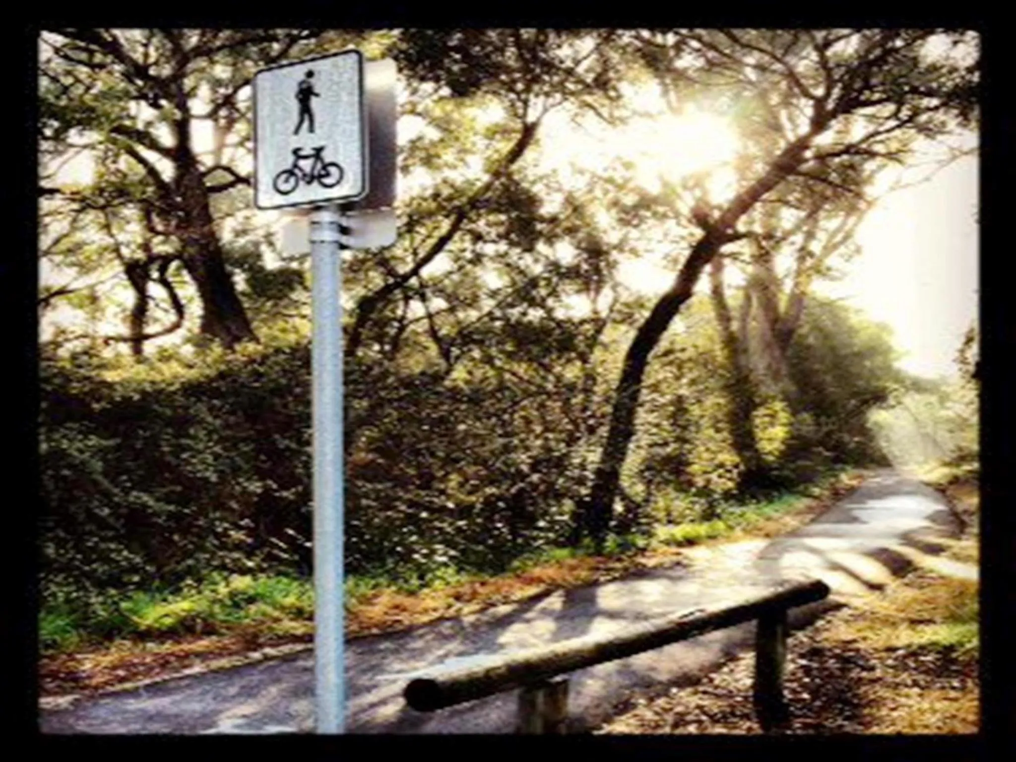 Neighbourhood in Sandy Bay Holiday Park