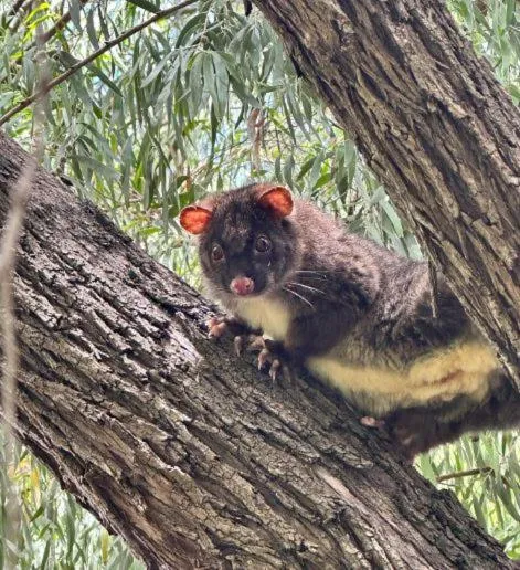 Sandy Bay Holiday Park
