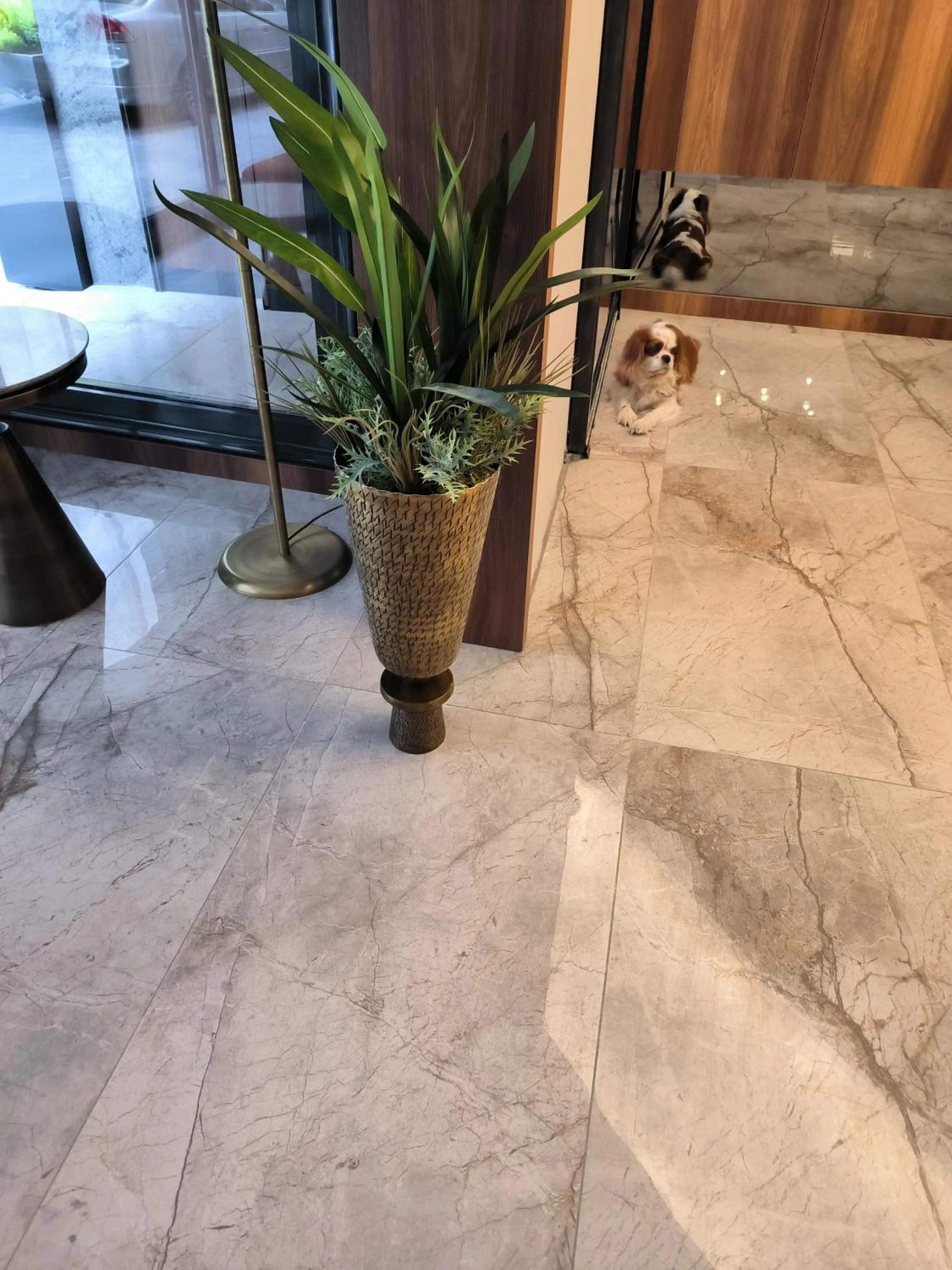 Lobby or reception in ROİ HOTEL İZMiR