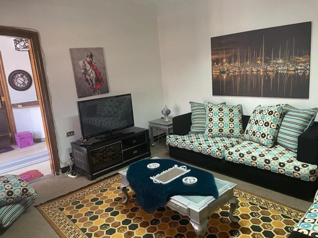 TV and multimedia in One bedroom apartment city views local to Airport