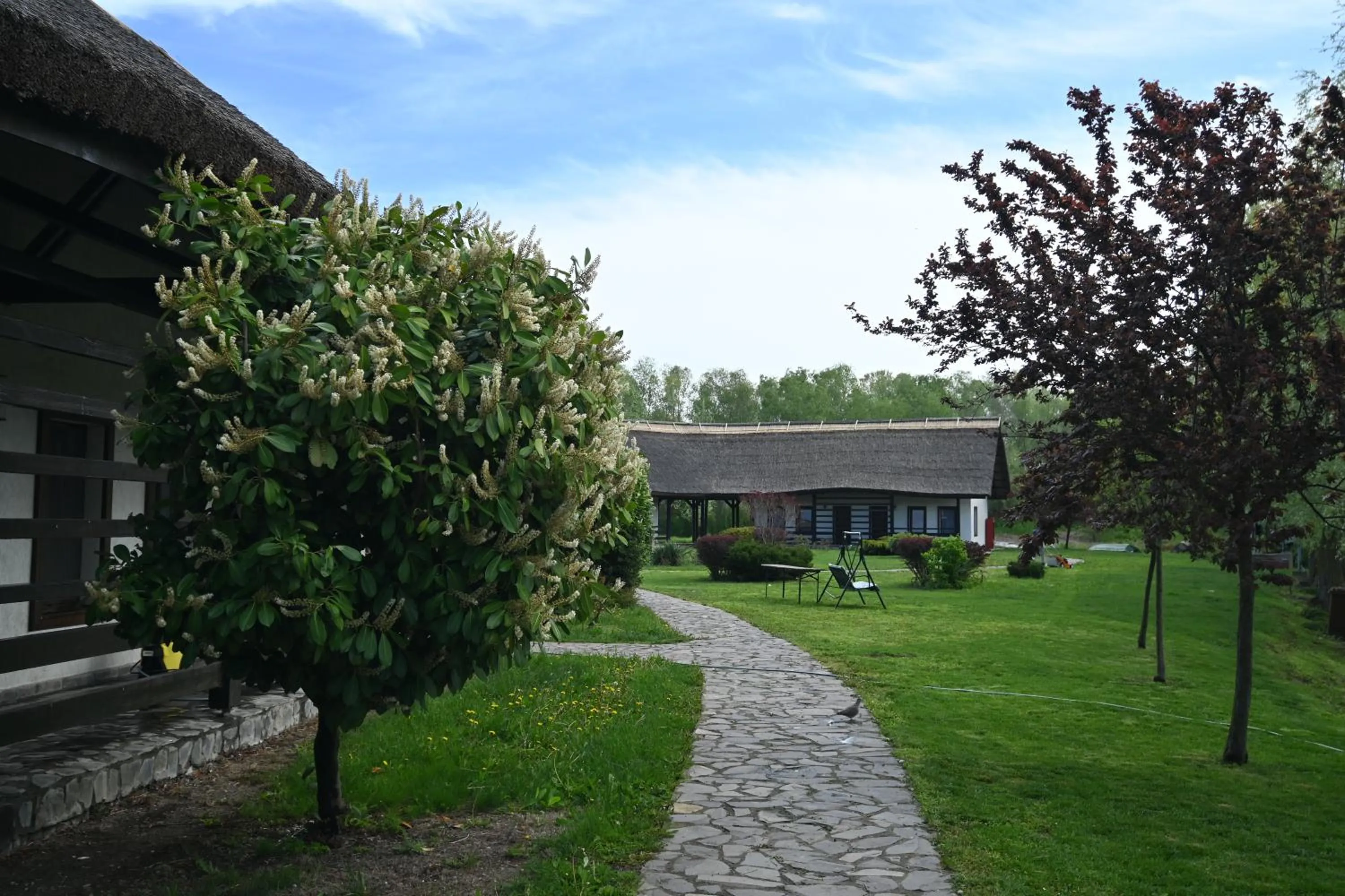 Property building in Egreta By Hoxton