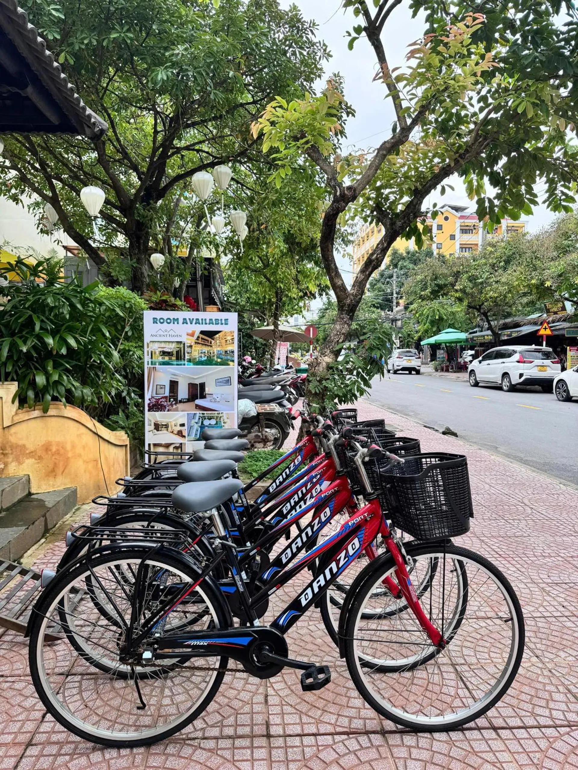 Cycling in Ancient Haven - Central Boutique Hotel