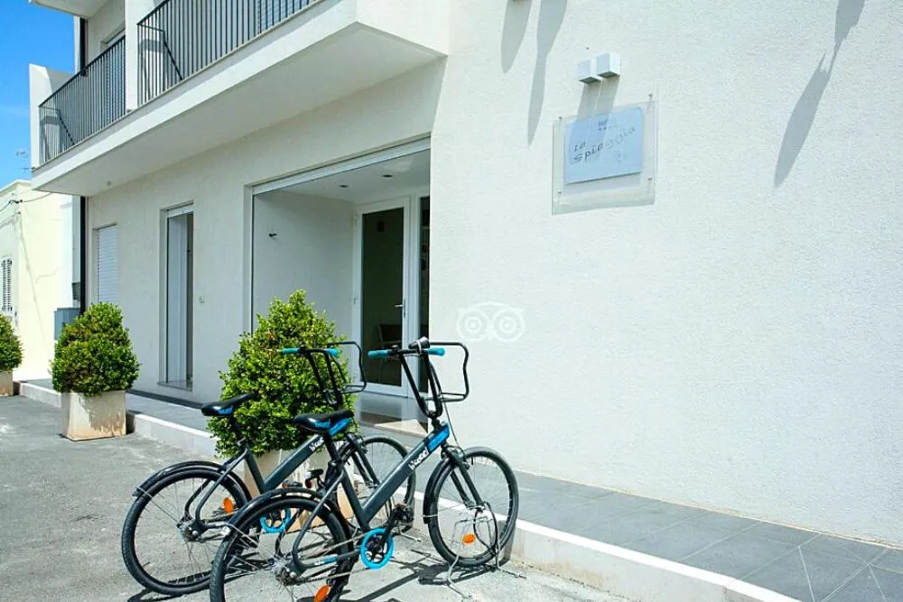 Cycling in Hotel la Spiaggia