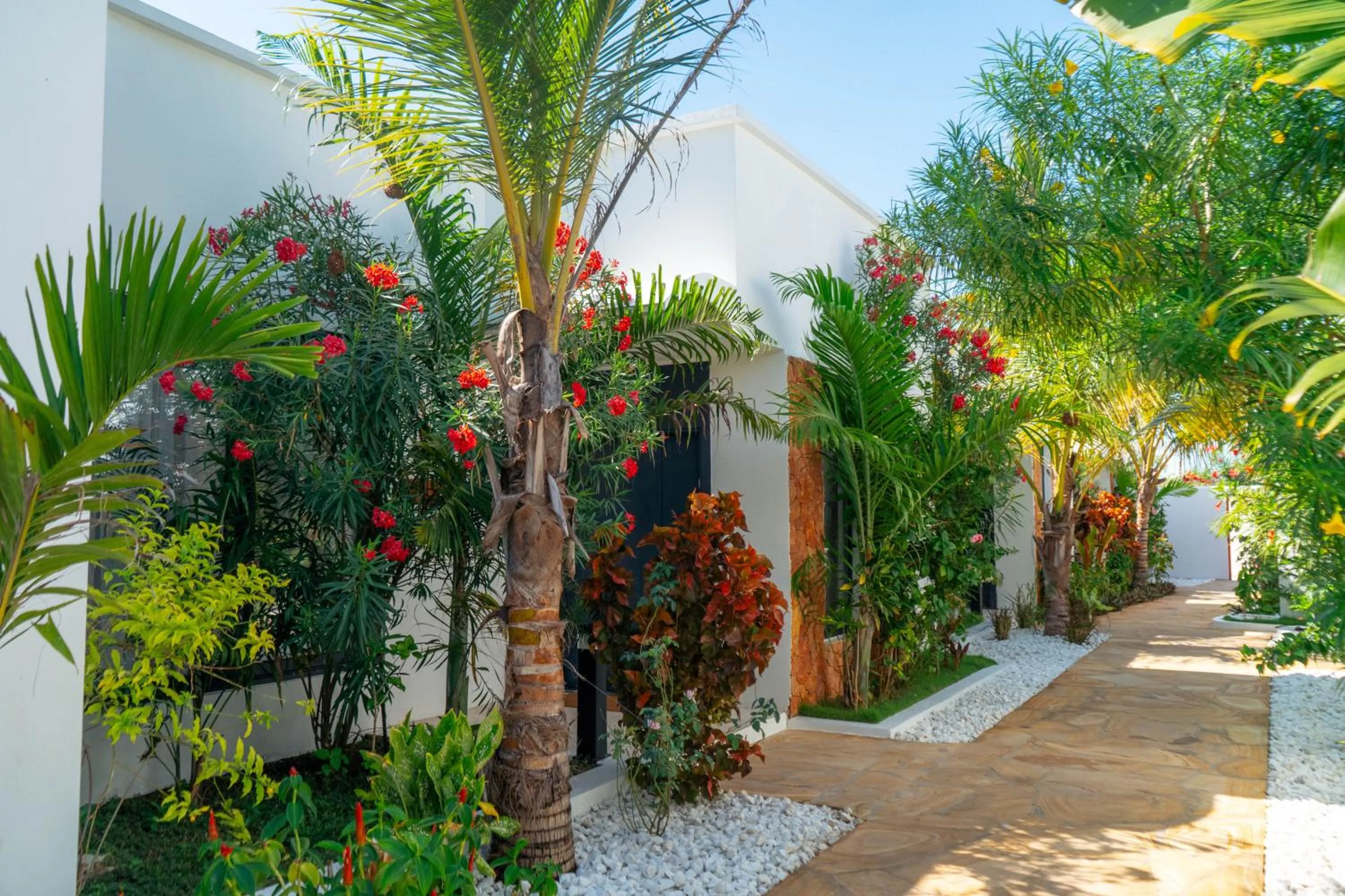 Garden in The Bali Resort Zanzibar