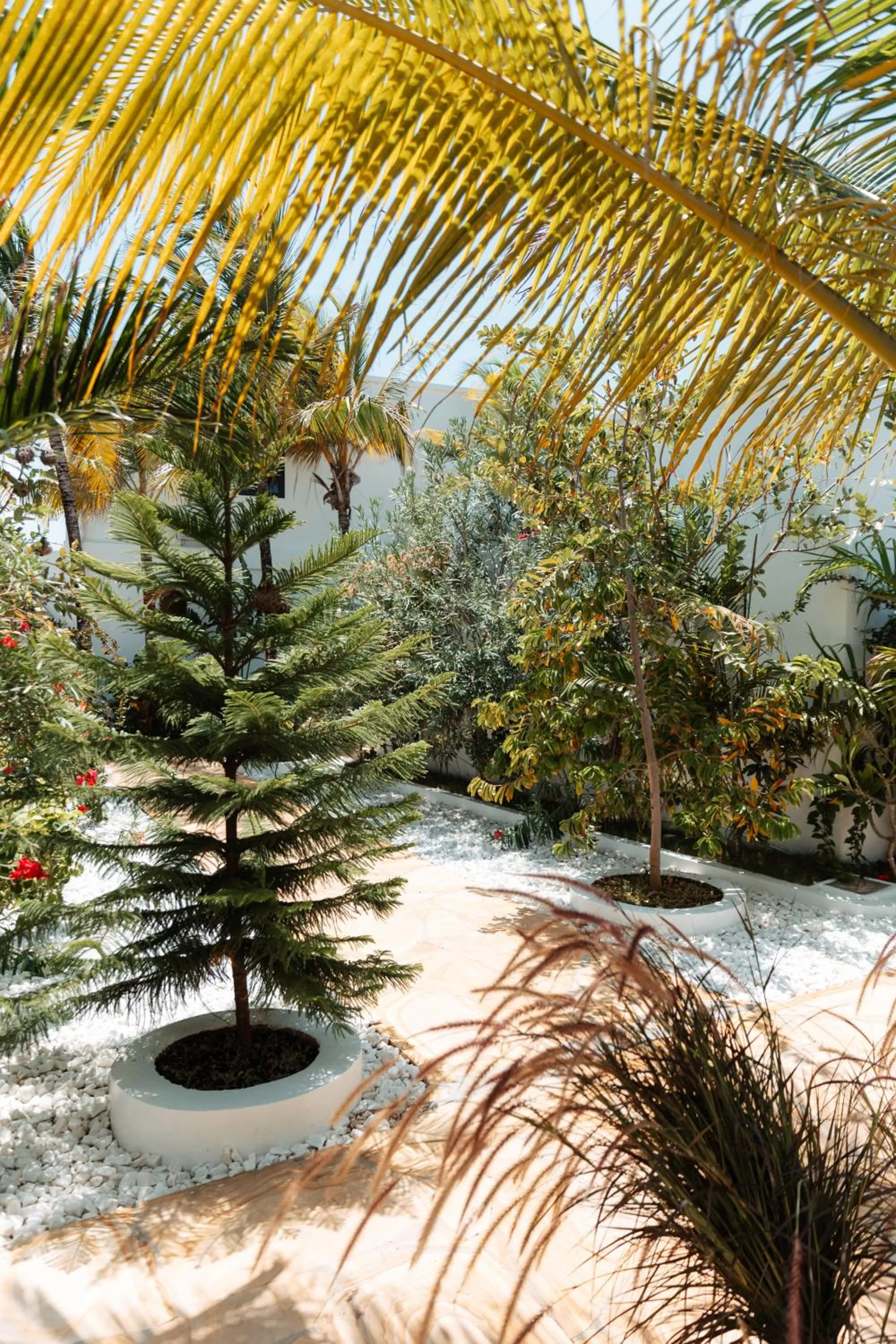 Natural landscape in The Bali Resort Zanzibar