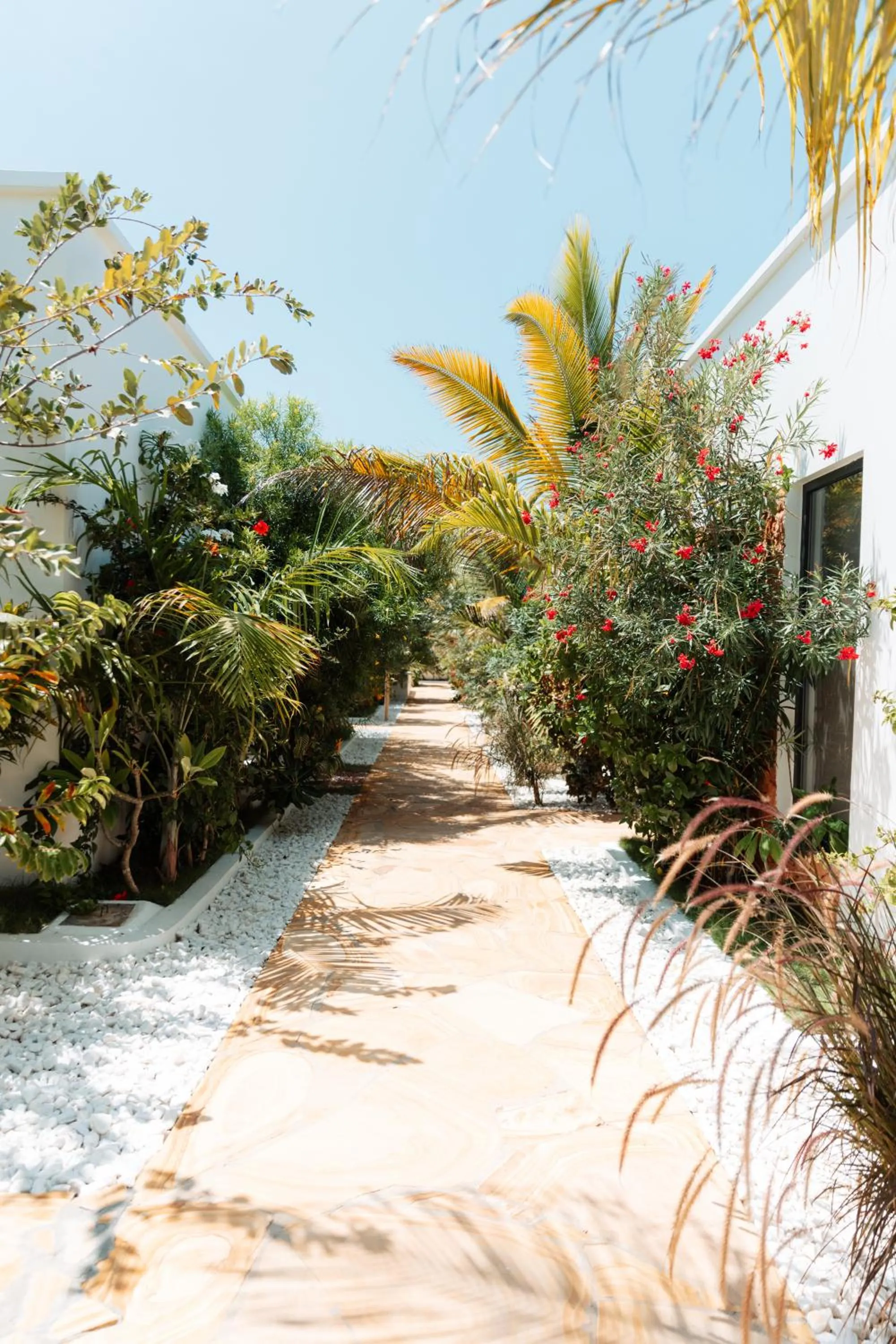 Garden in The Bali Resort Zanzibar