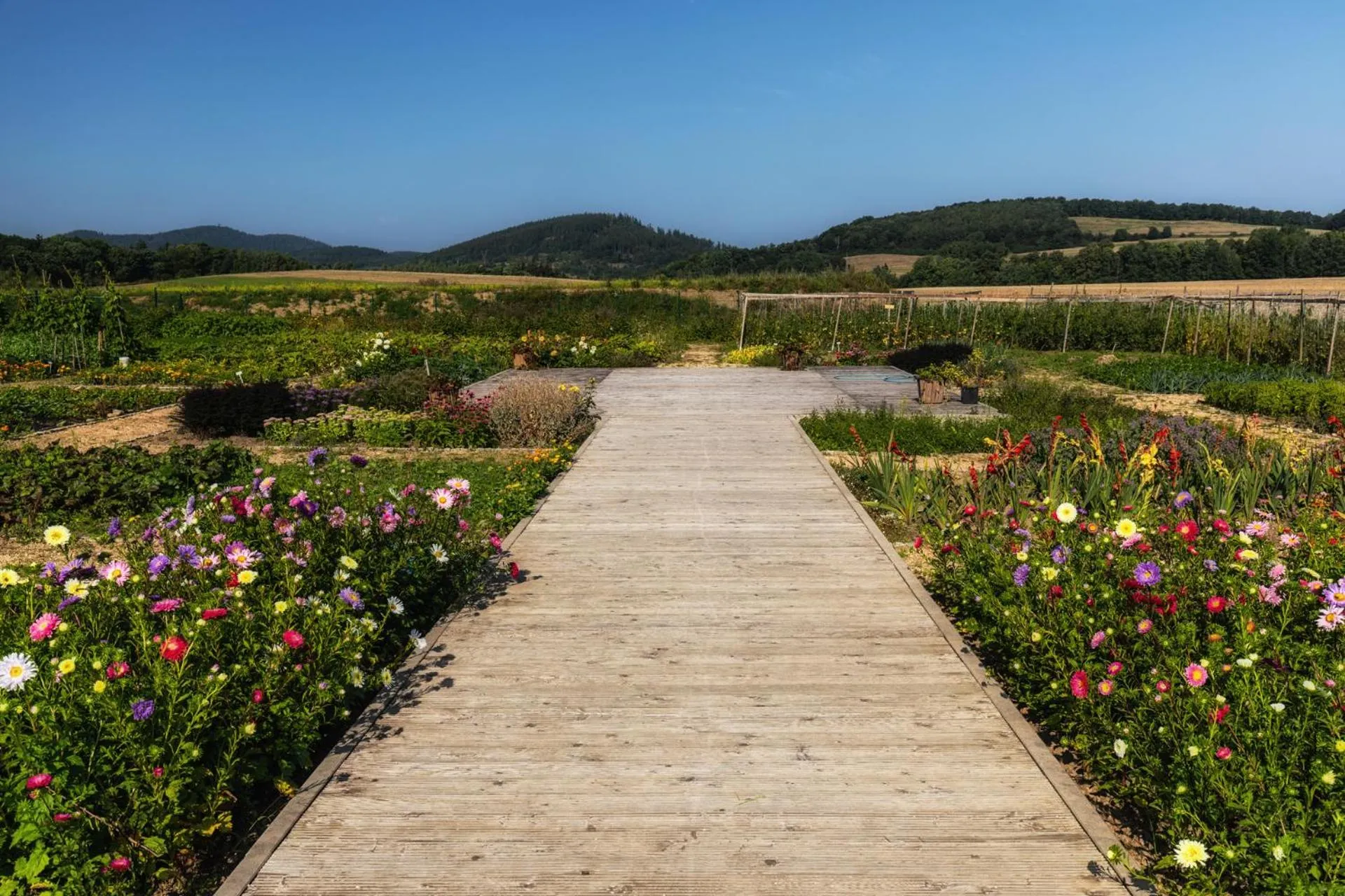 Nearby landmark in Dworzysko