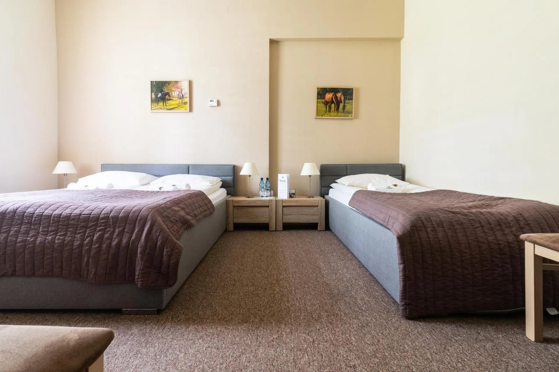 Bedroom, Bed in Dworzysko