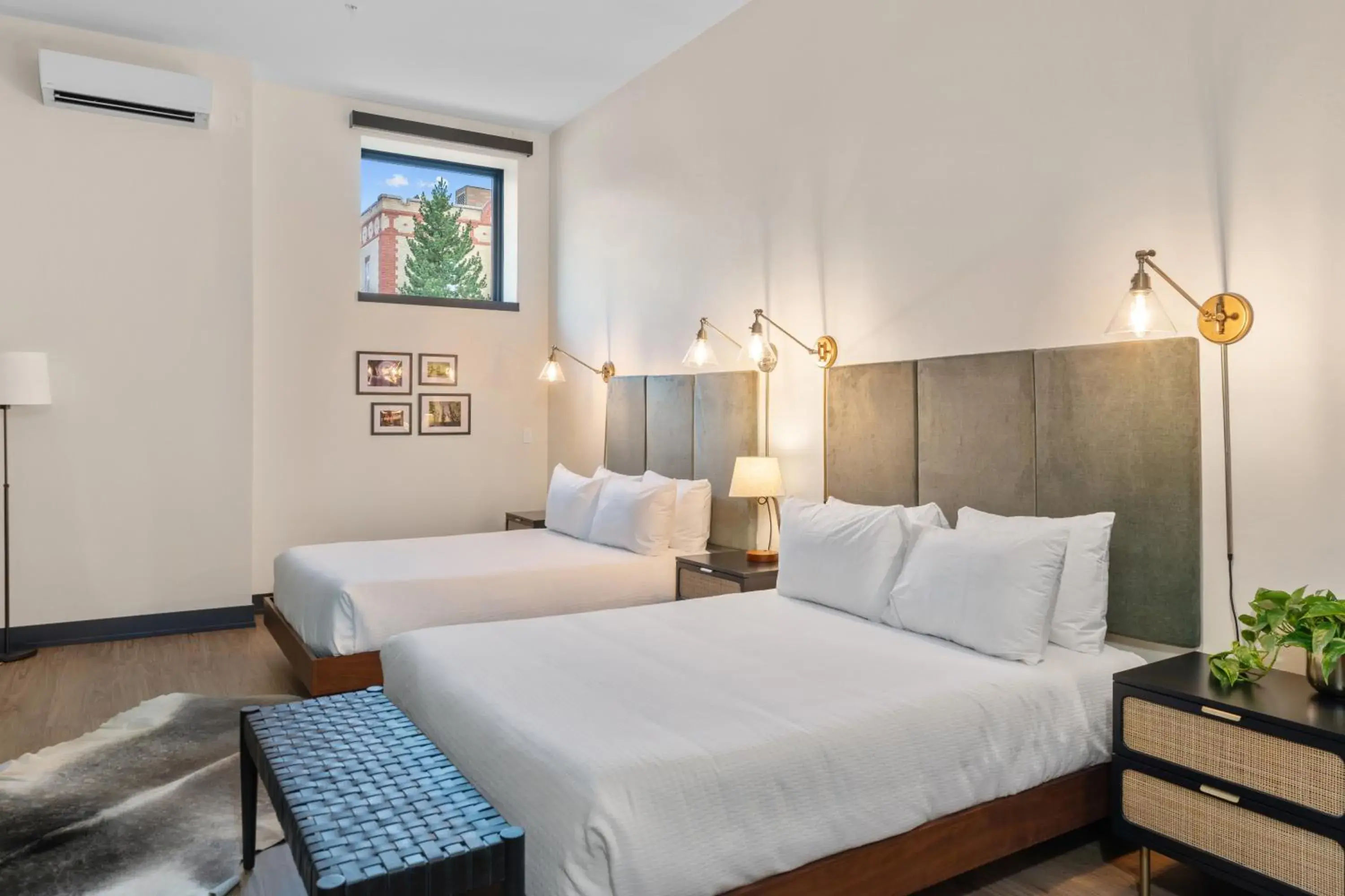 Queen Room - Disability Access in The Rathbone Hotel Queen Room - Disability Access in The Rathbone Hotel