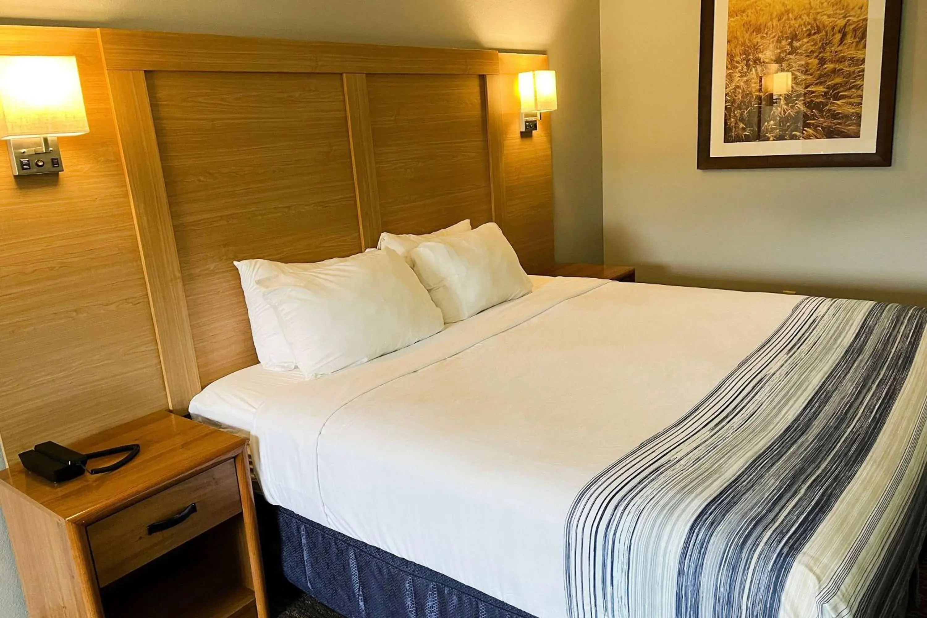 King Room - Non-Smoking in Days Inn & Suites by Wyndham Williamsburg IA North King Room - Non-Smoking in Days Inn & Suites by Wyndham Williamsburg IA North