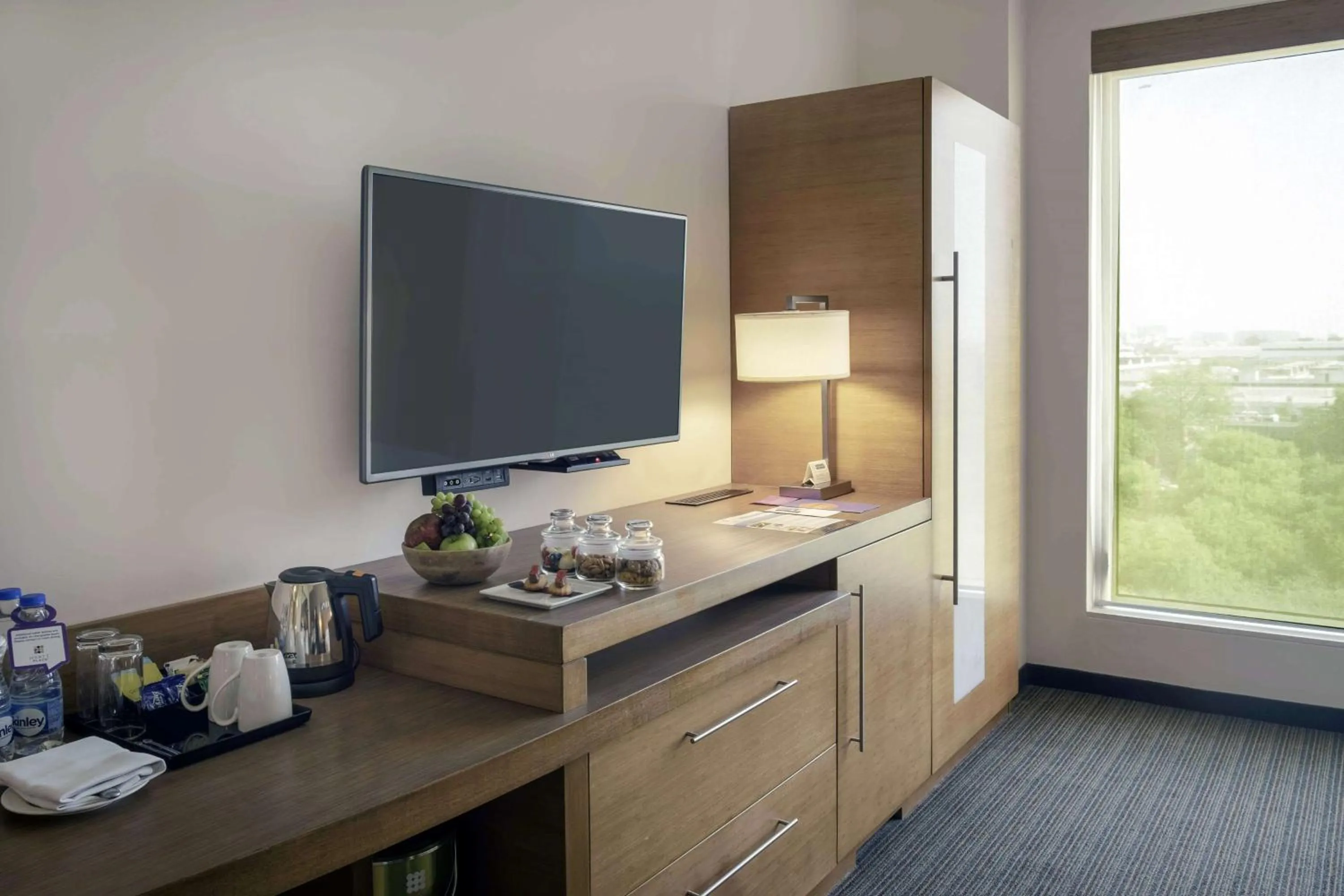 TV and multimedia in Hyatt Place Gurgaon Udyog Vihar