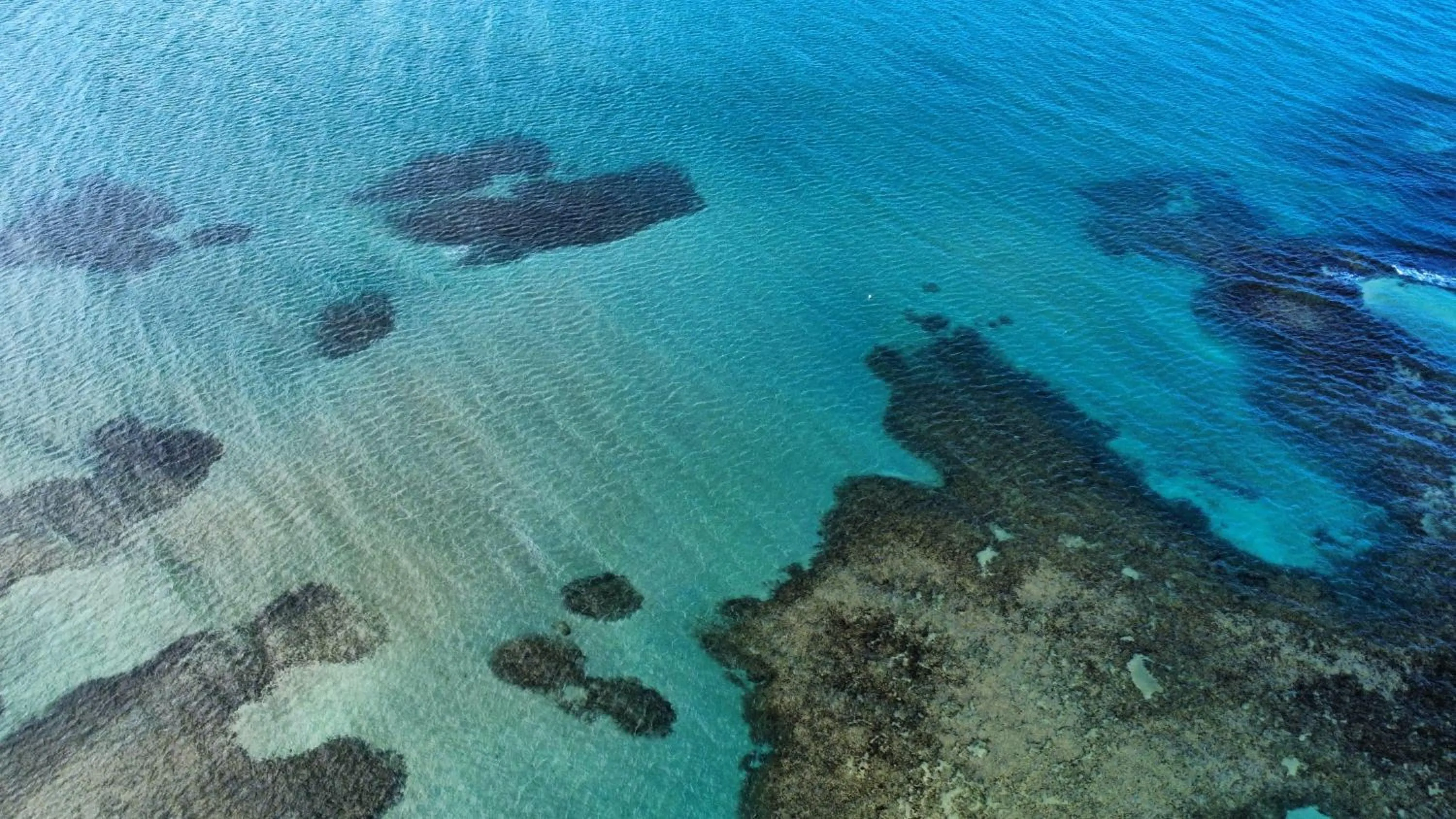 Beach in Pousada Recanto Porto de Galinhas