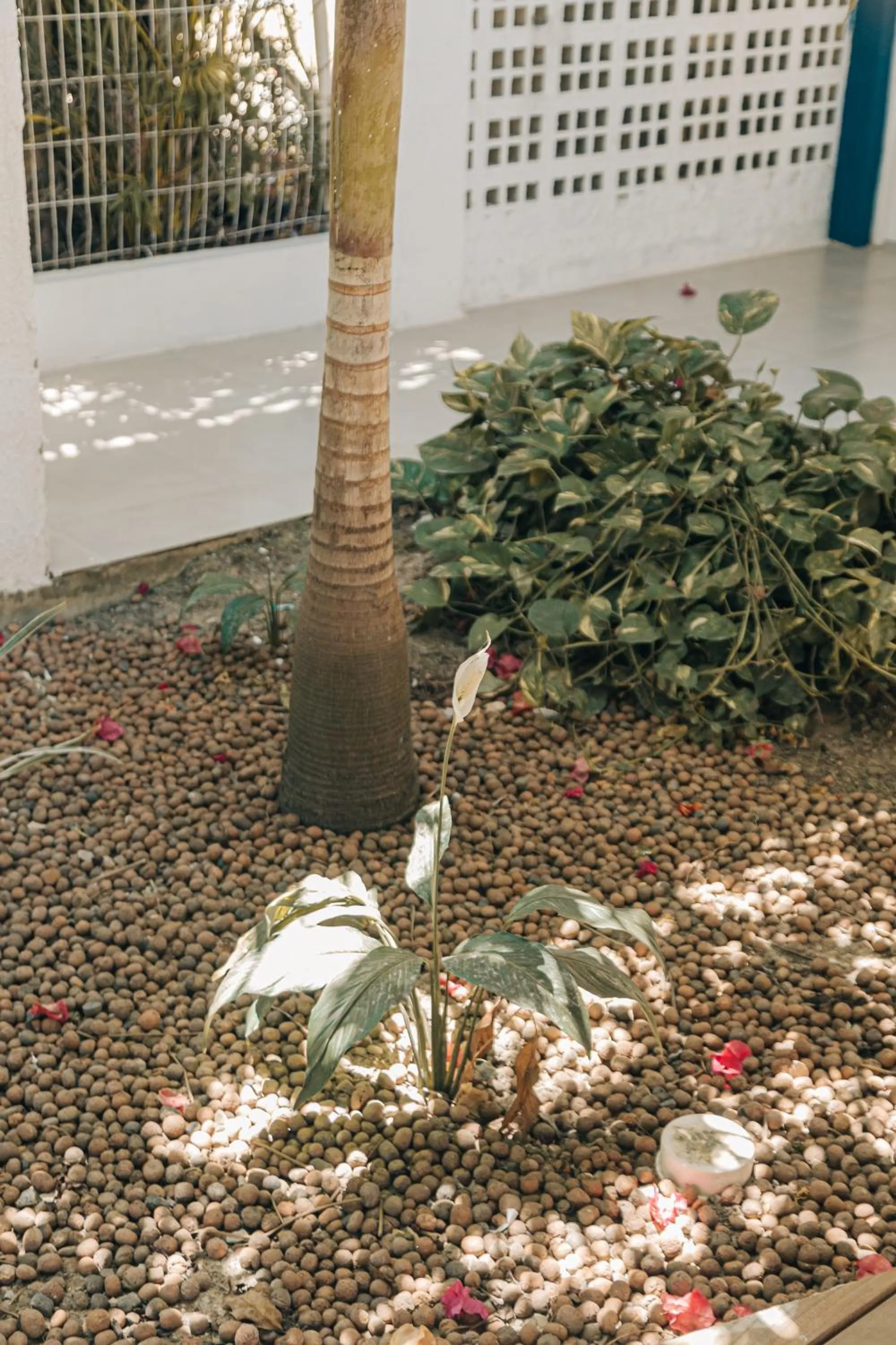 Property building in Pousada Recanto Porto de Galinhas