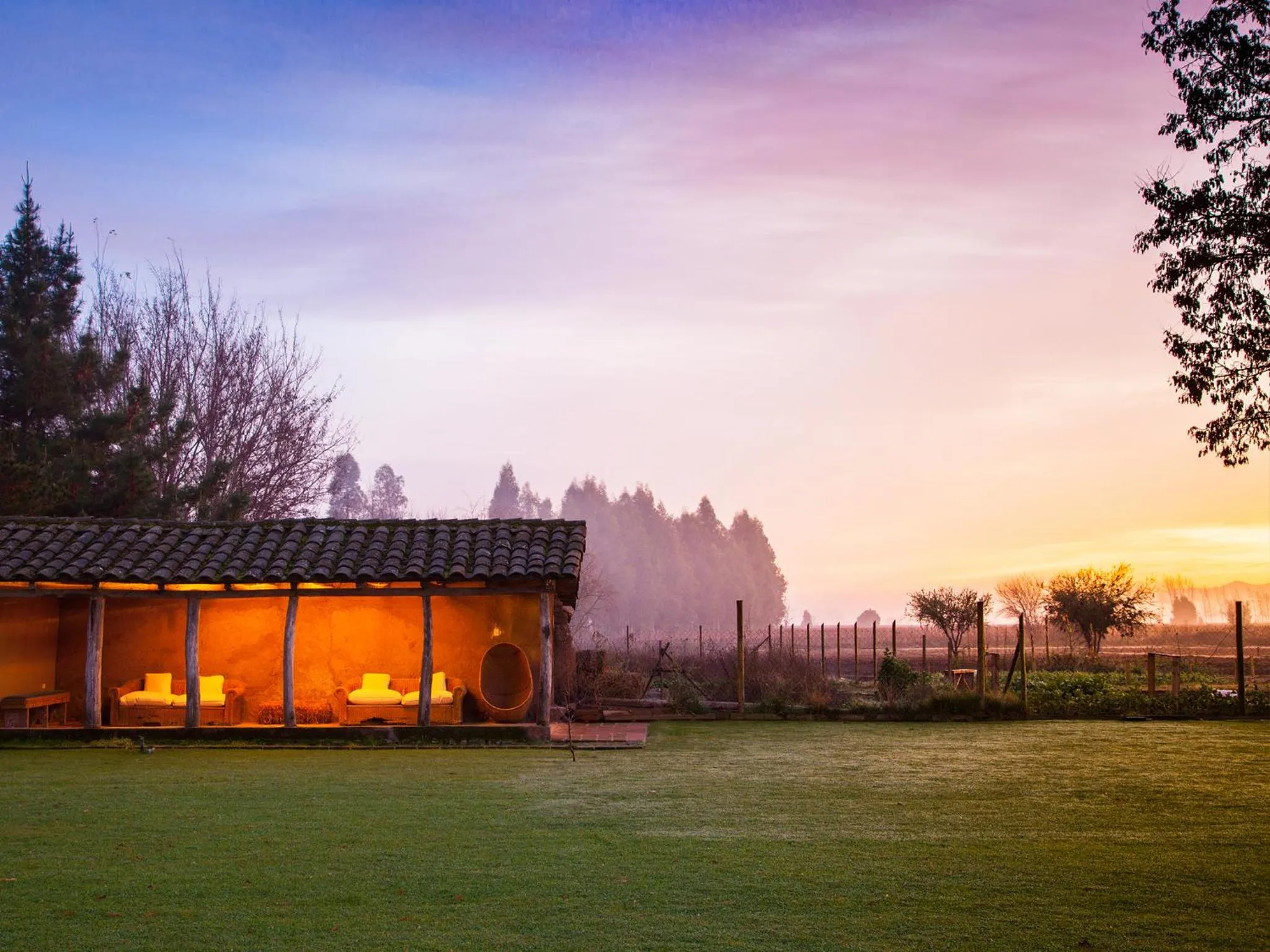 Patio in NOI Blend Colchagua