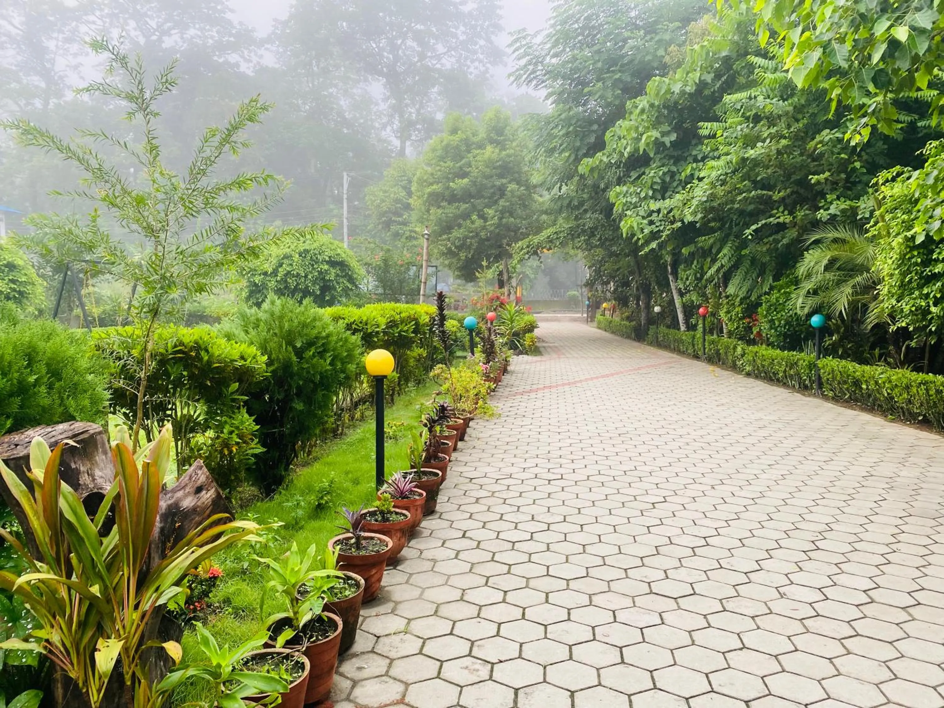 Natural landscape in Eco Adventure Resort