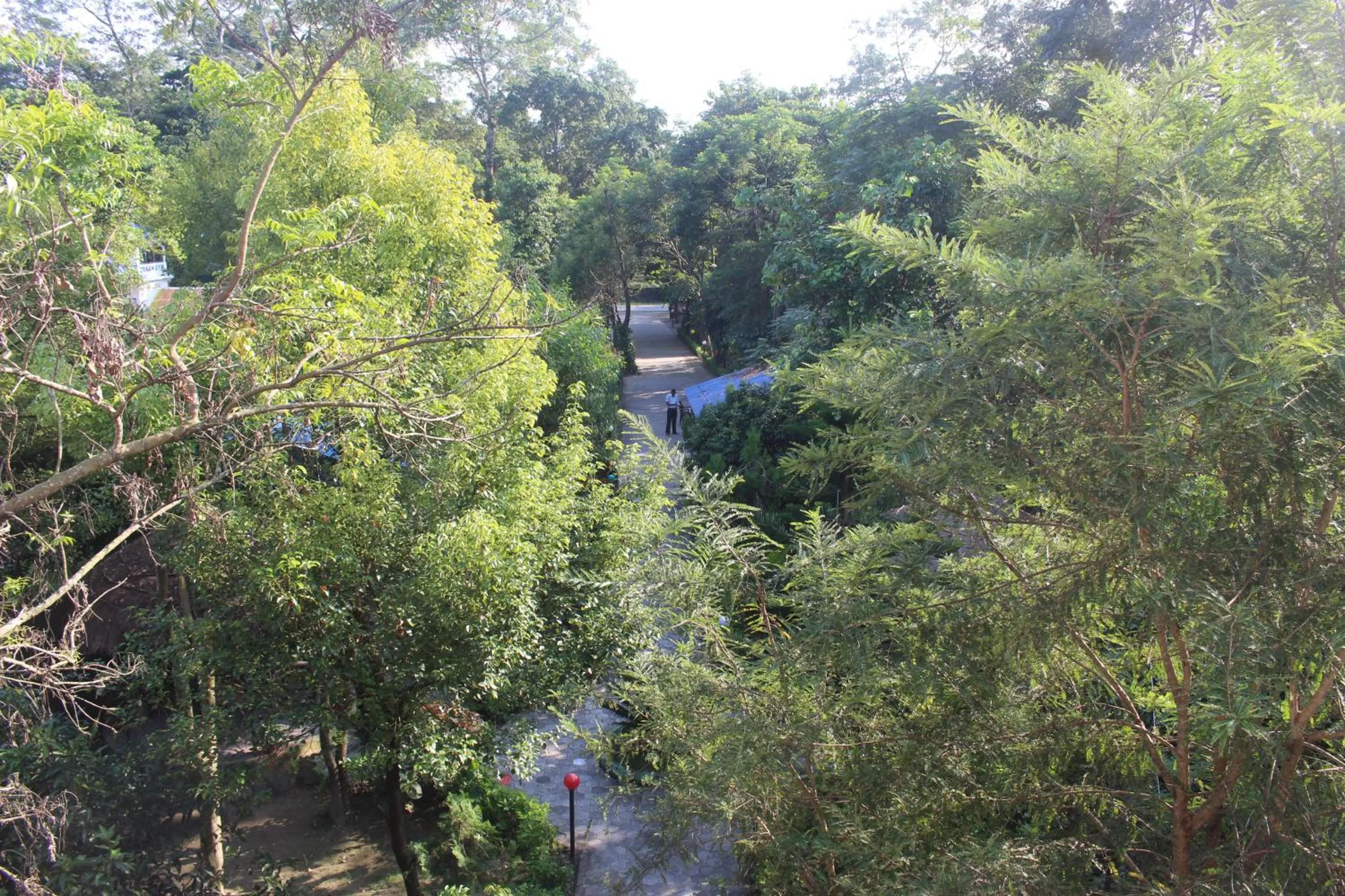 Spring in Eco Adventure Resort