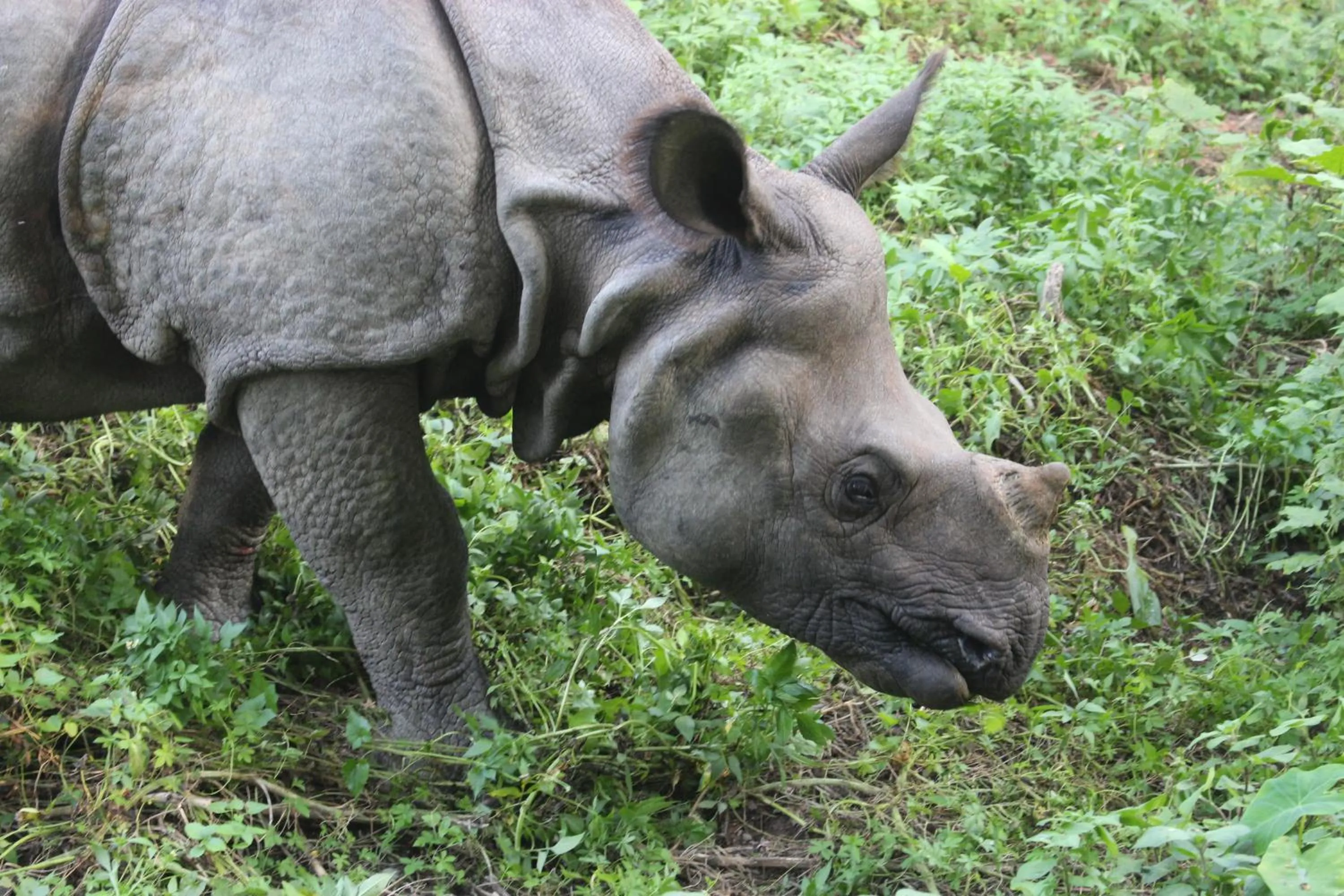 Natural landscape in Eco Adventure Resort