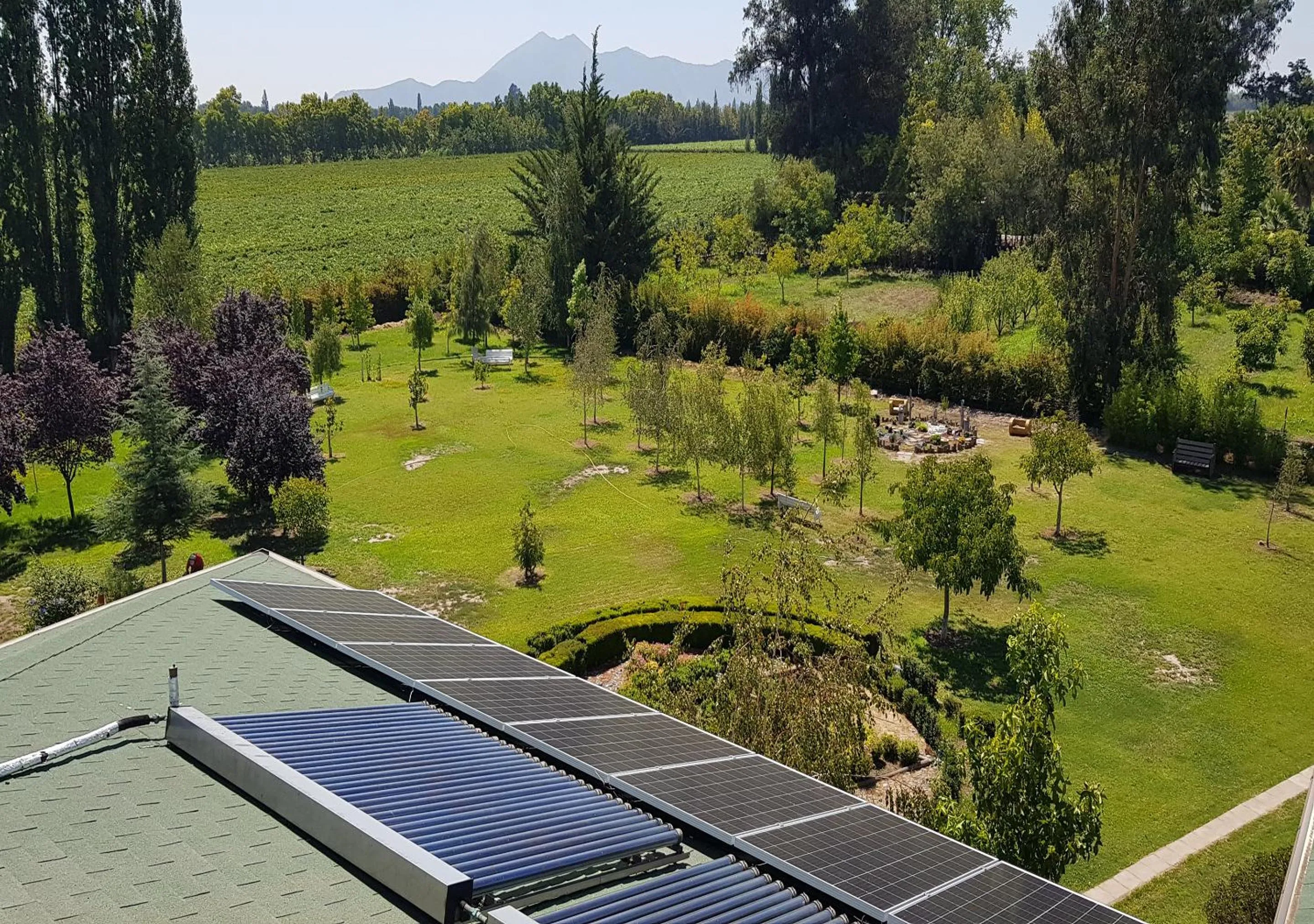 Garden in Hotel El Almendro