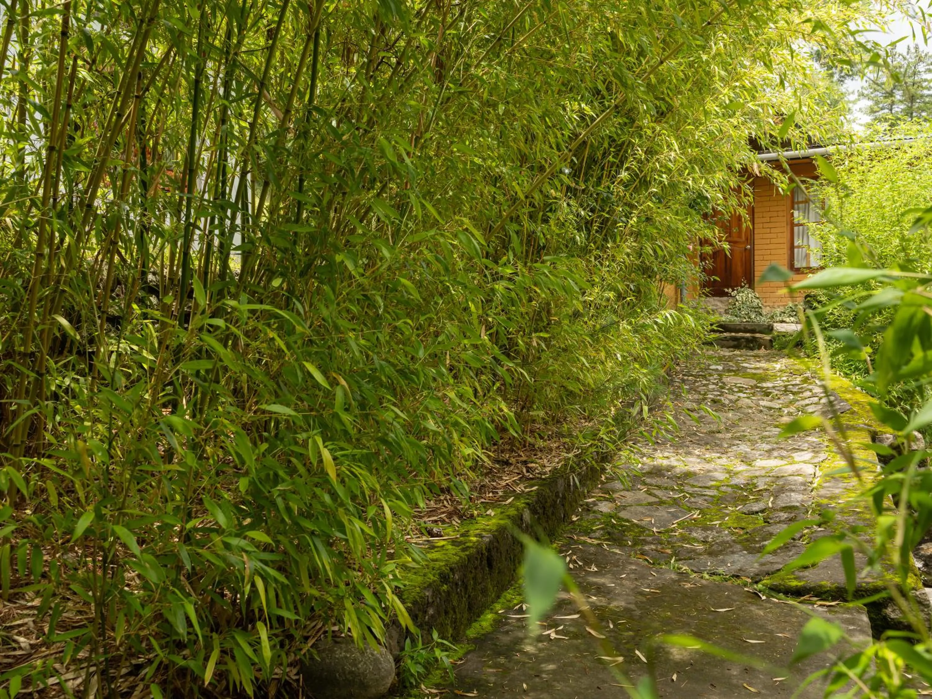 Property building in Tiger's Nest Resort - Best Resort In Paro