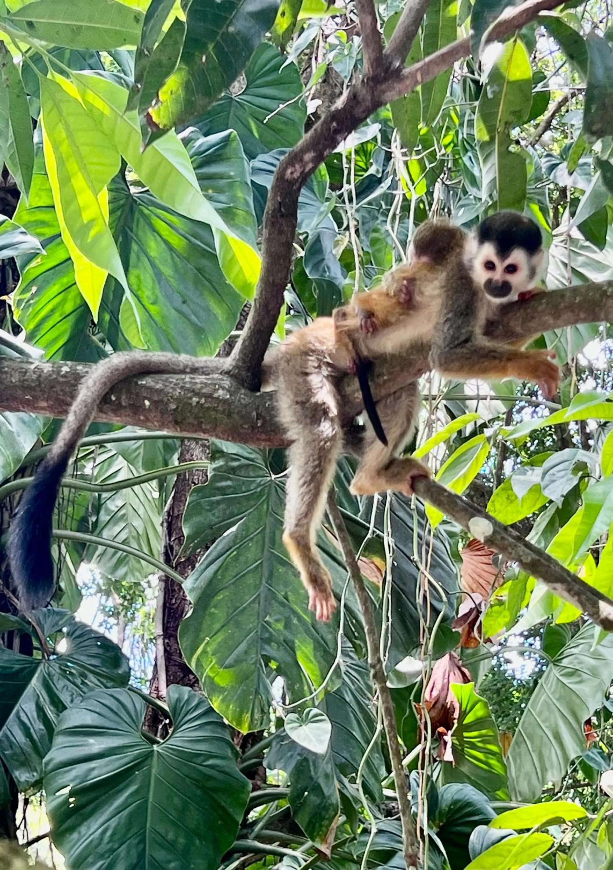 Natural landscape in ECOTICA Boutique Hotel