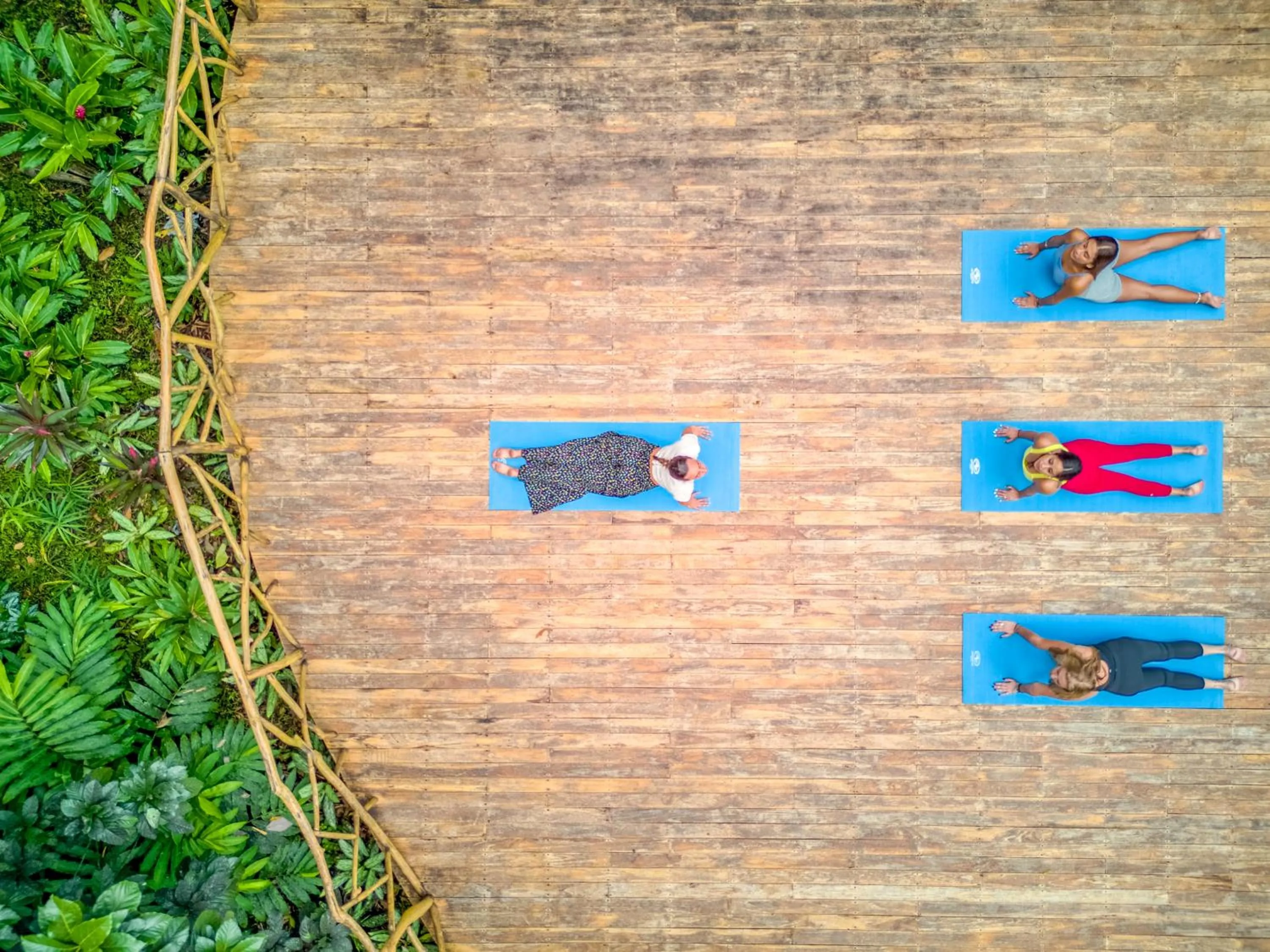 Garden in ECOTICA Boutique Hotel