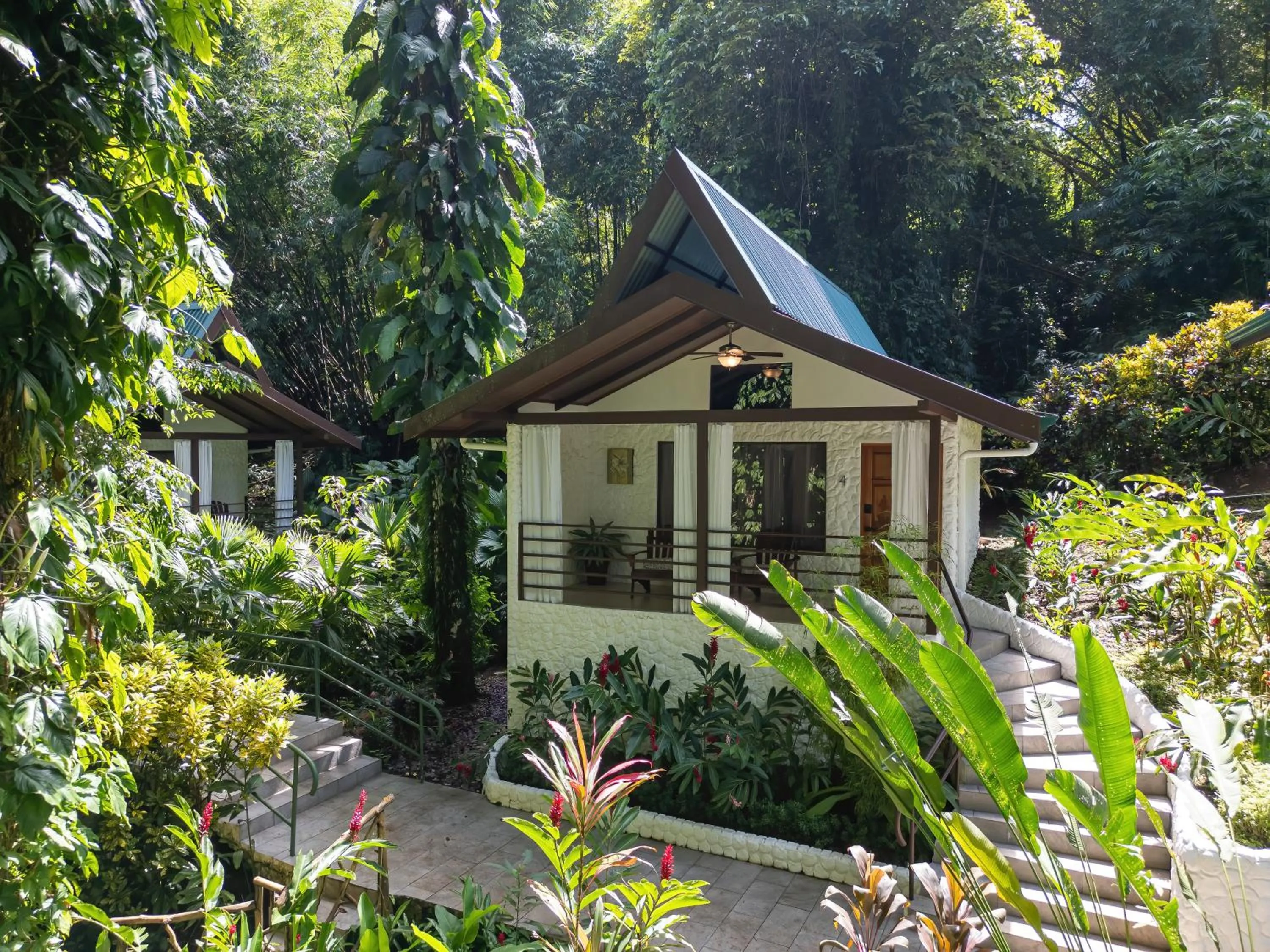 Garden view in ECOTICA Boutique Hotel