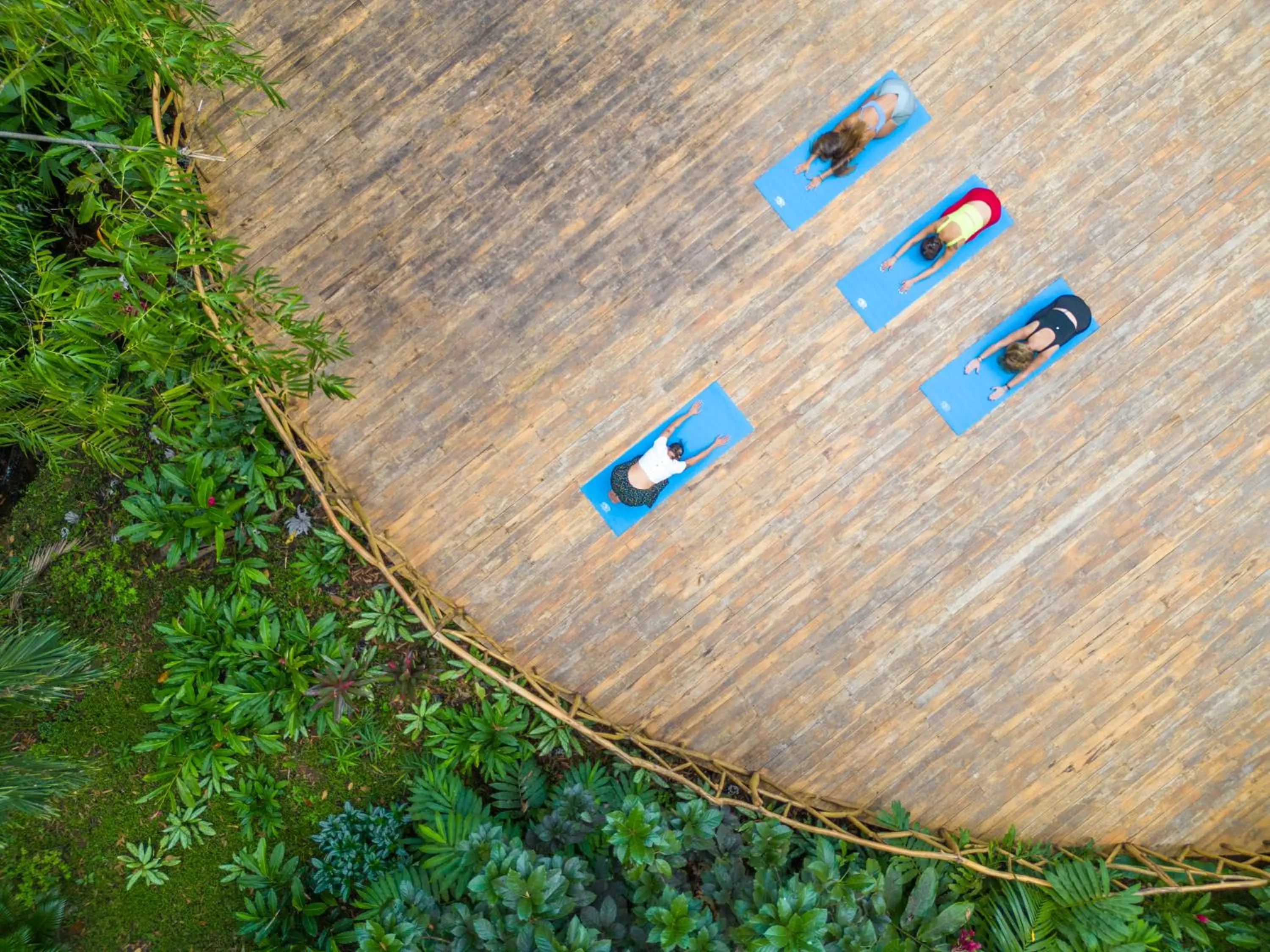 Natural landscape in ECOTICA Boutique Hotel