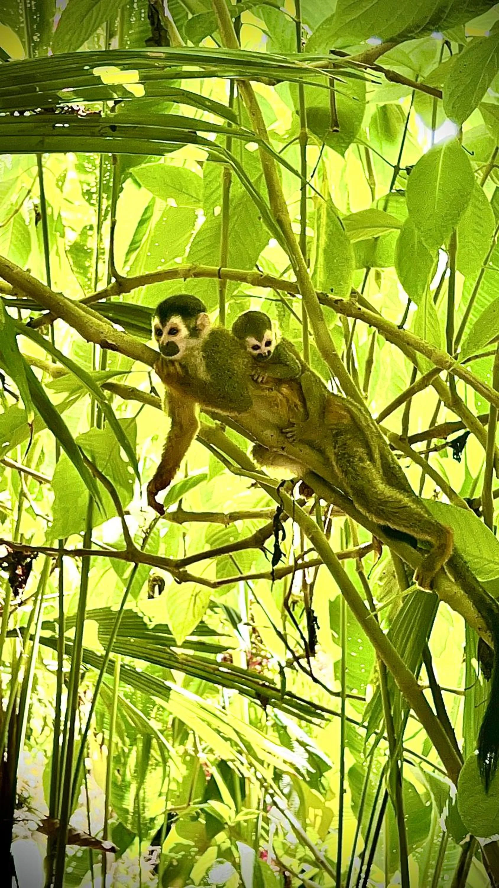 Natural landscape in ECOTICA Boutique Hotel