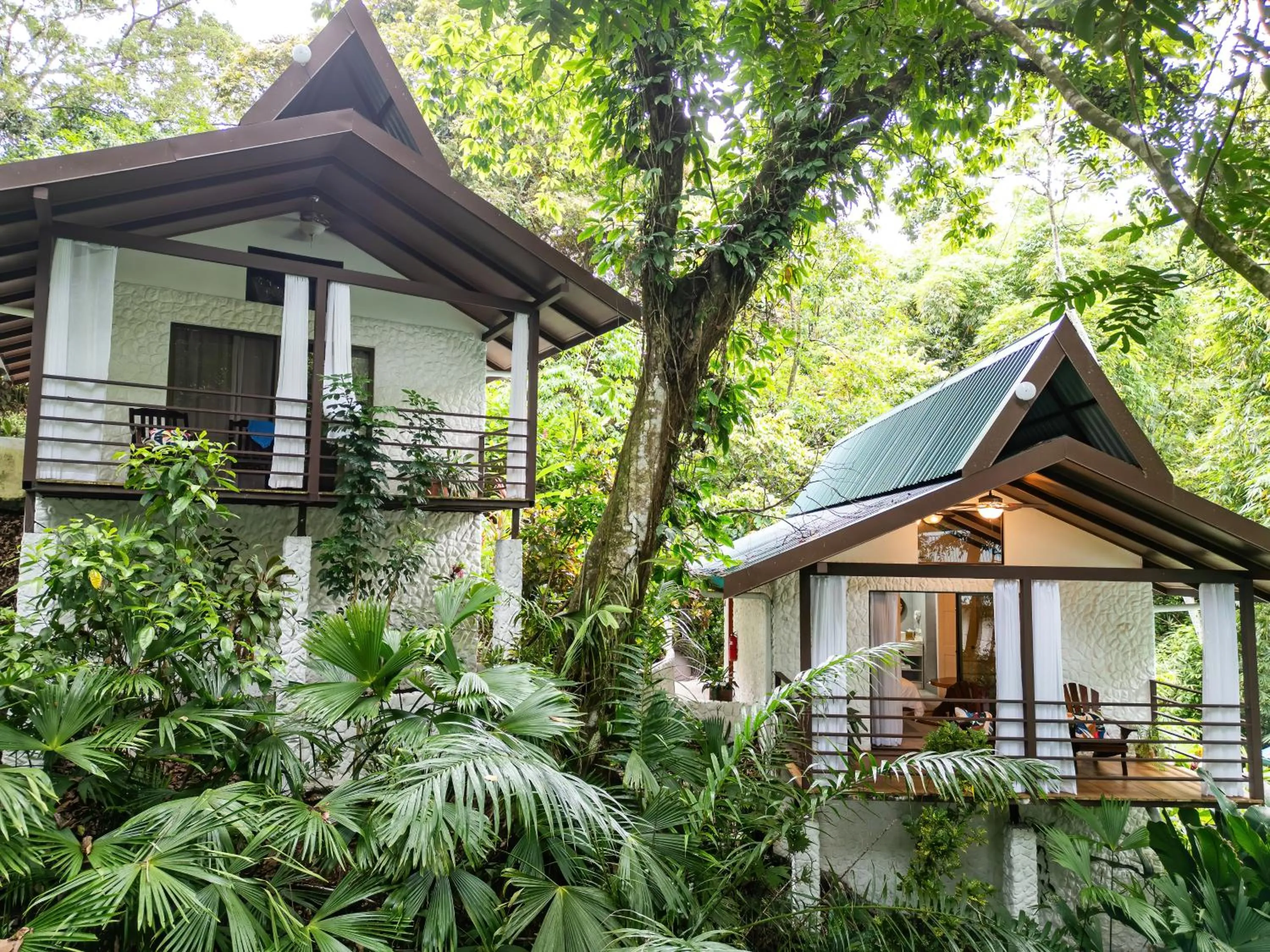 Natural landscape in ECOTICA Boutique Hotel