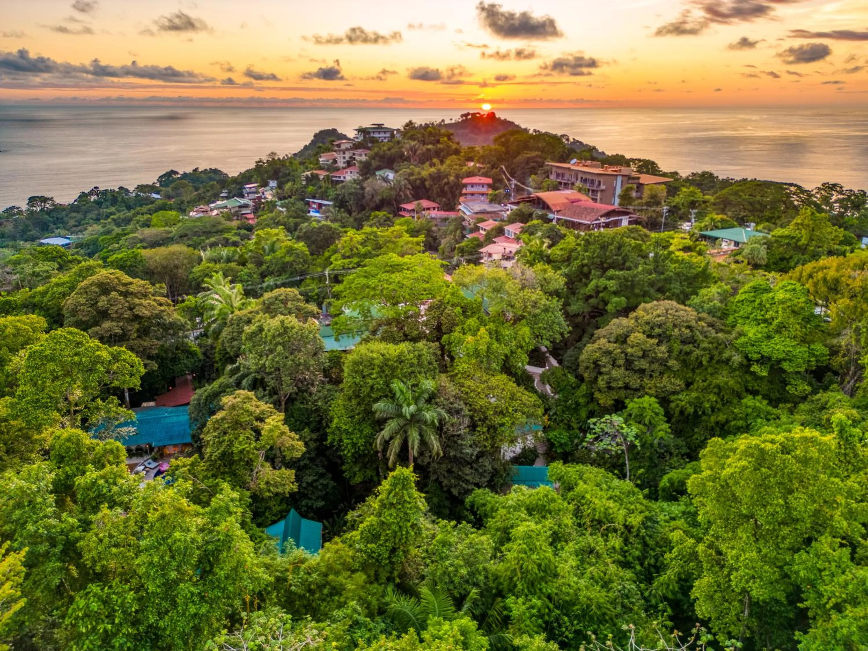 Natural landscape in ECOTICA Boutique Hotel