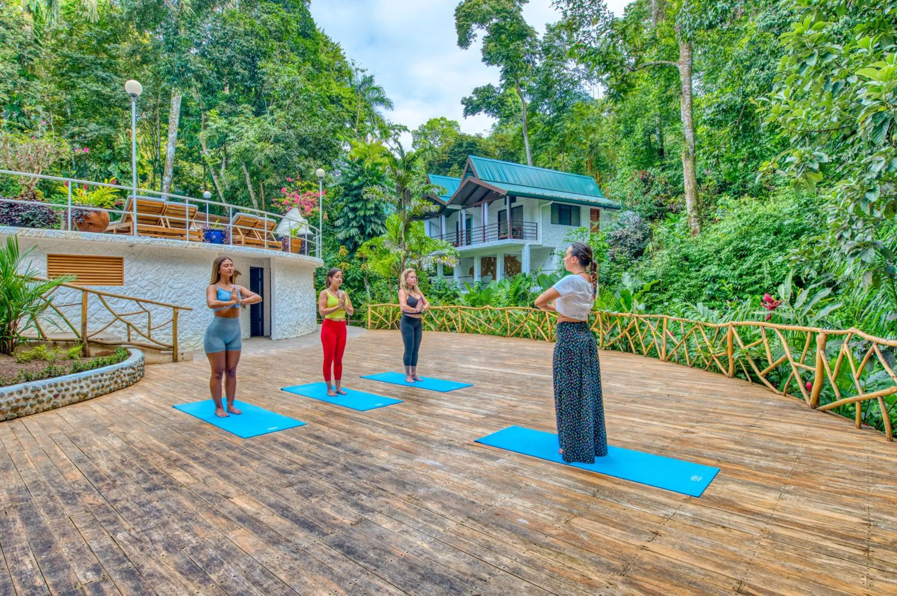 Garden in ECOTICA Boutique Hotel
