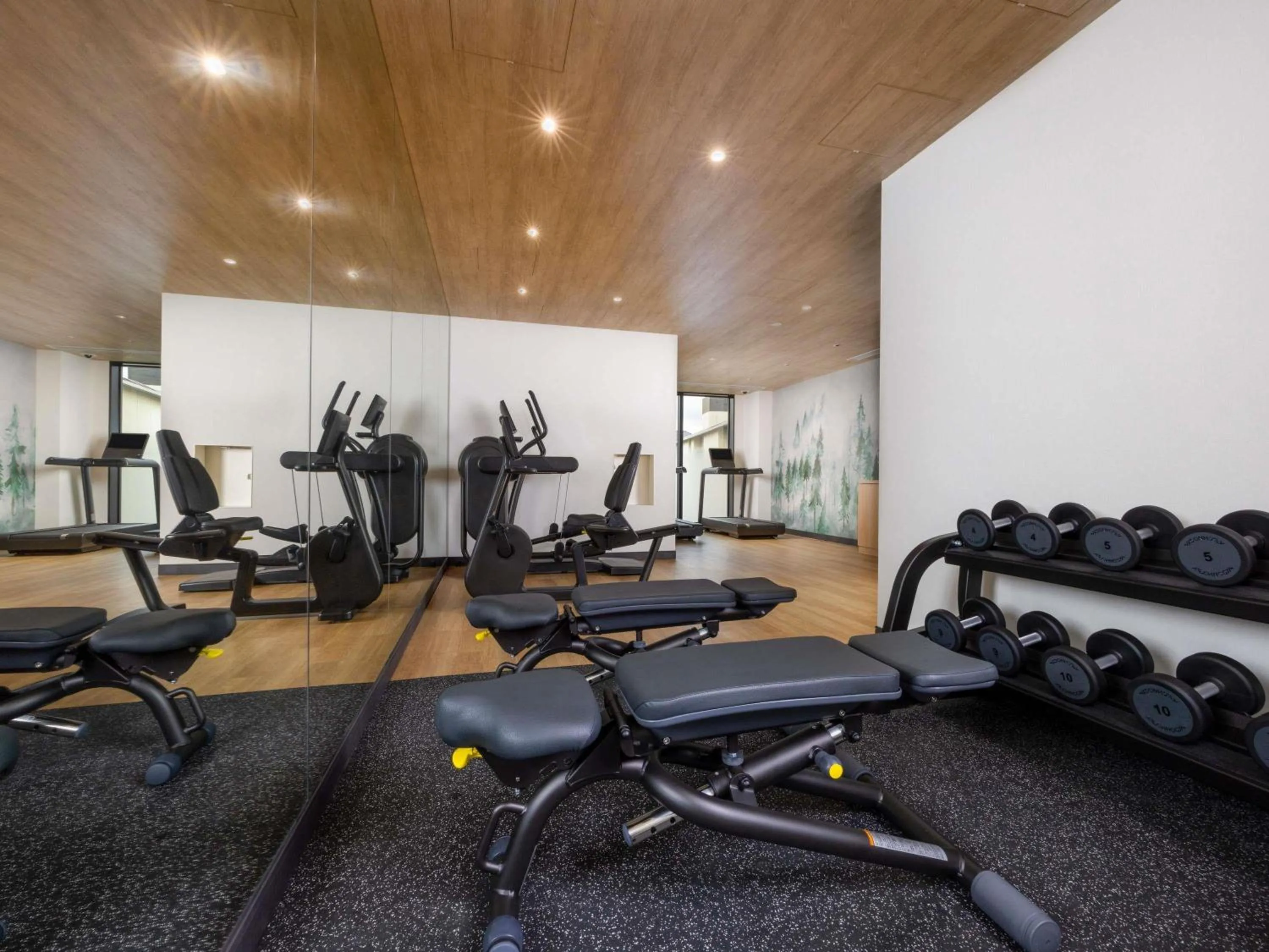 Fitness centre/facilities in Novotel Nara